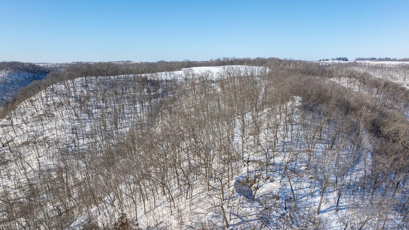 main property photo 79