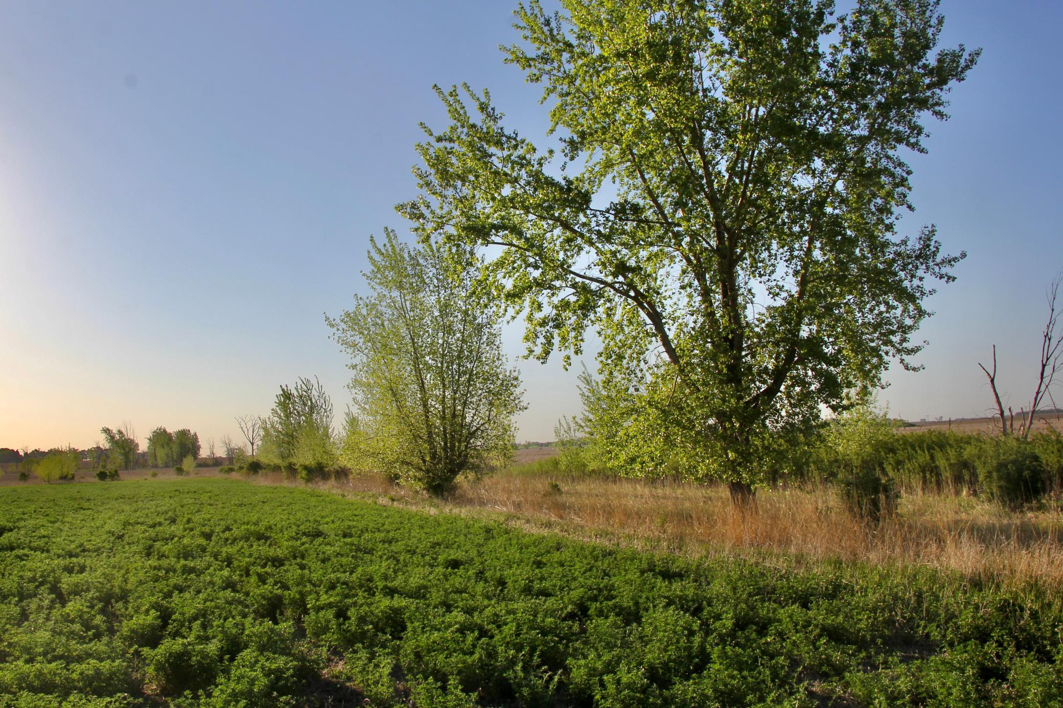 main property photo 10