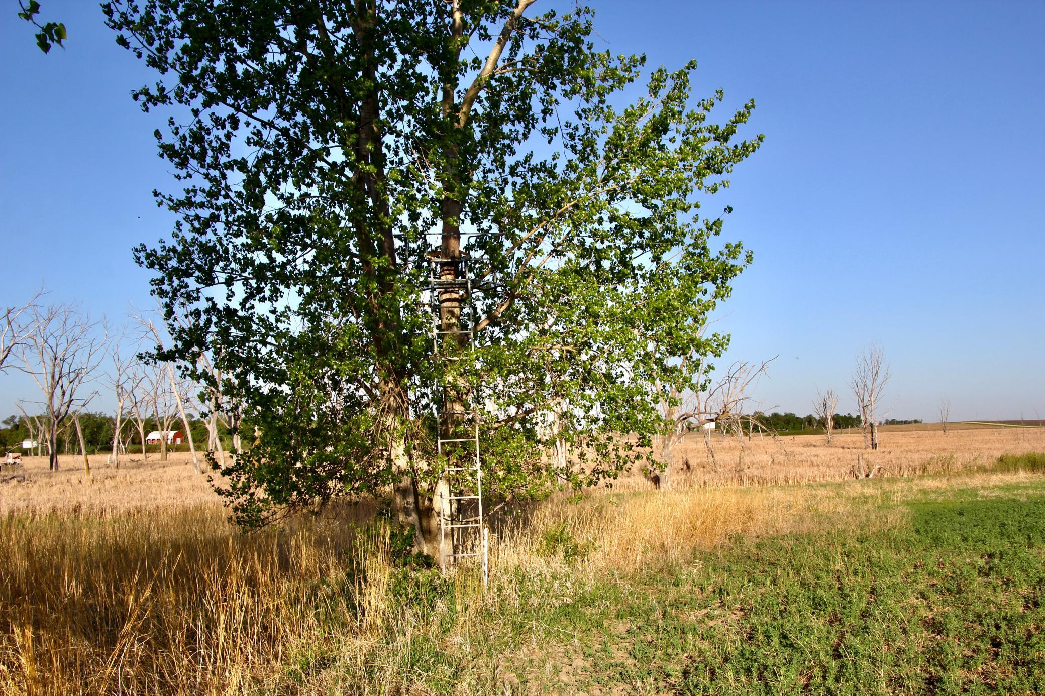 main property photo 15