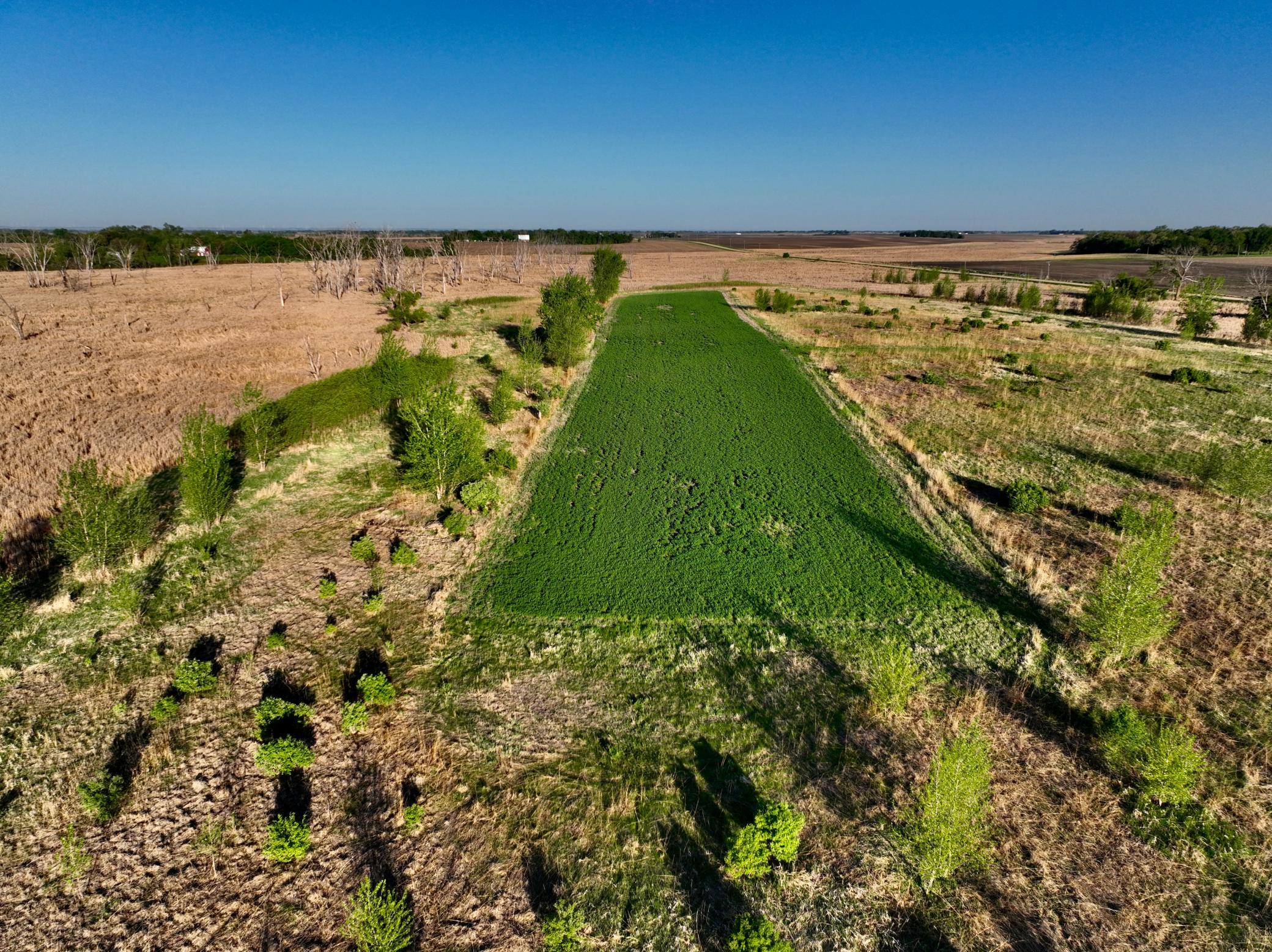 main property photo 17