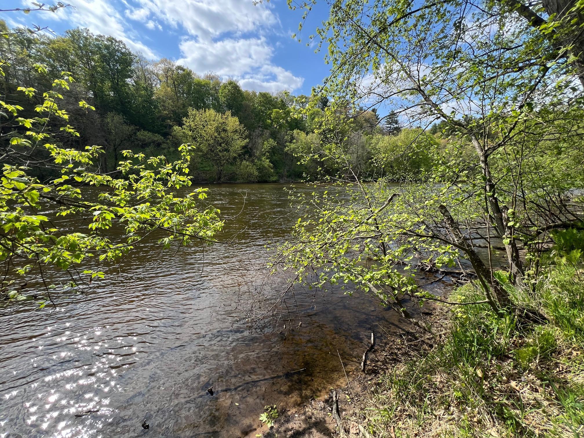 main property photo 17