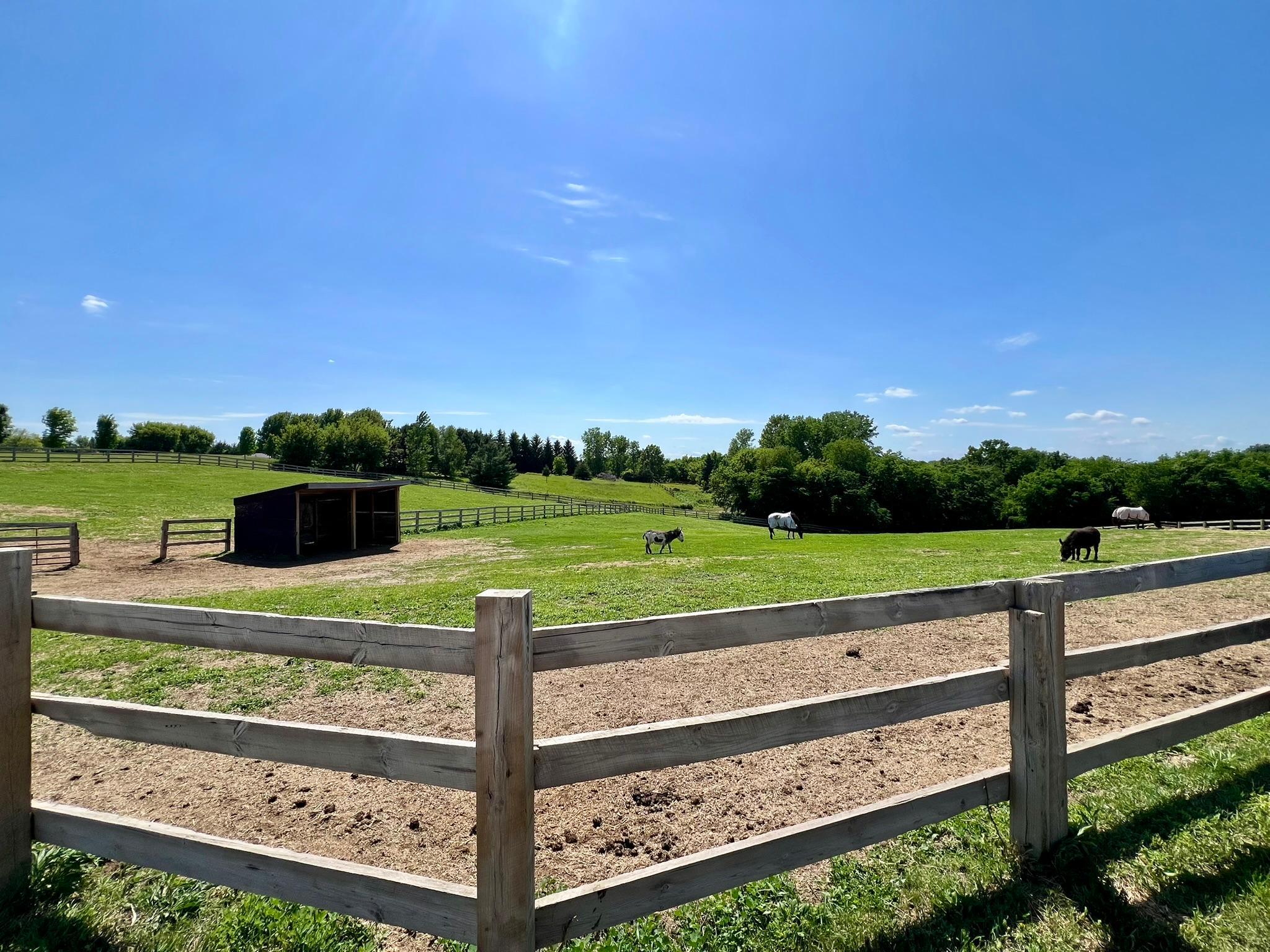 main property photo 51