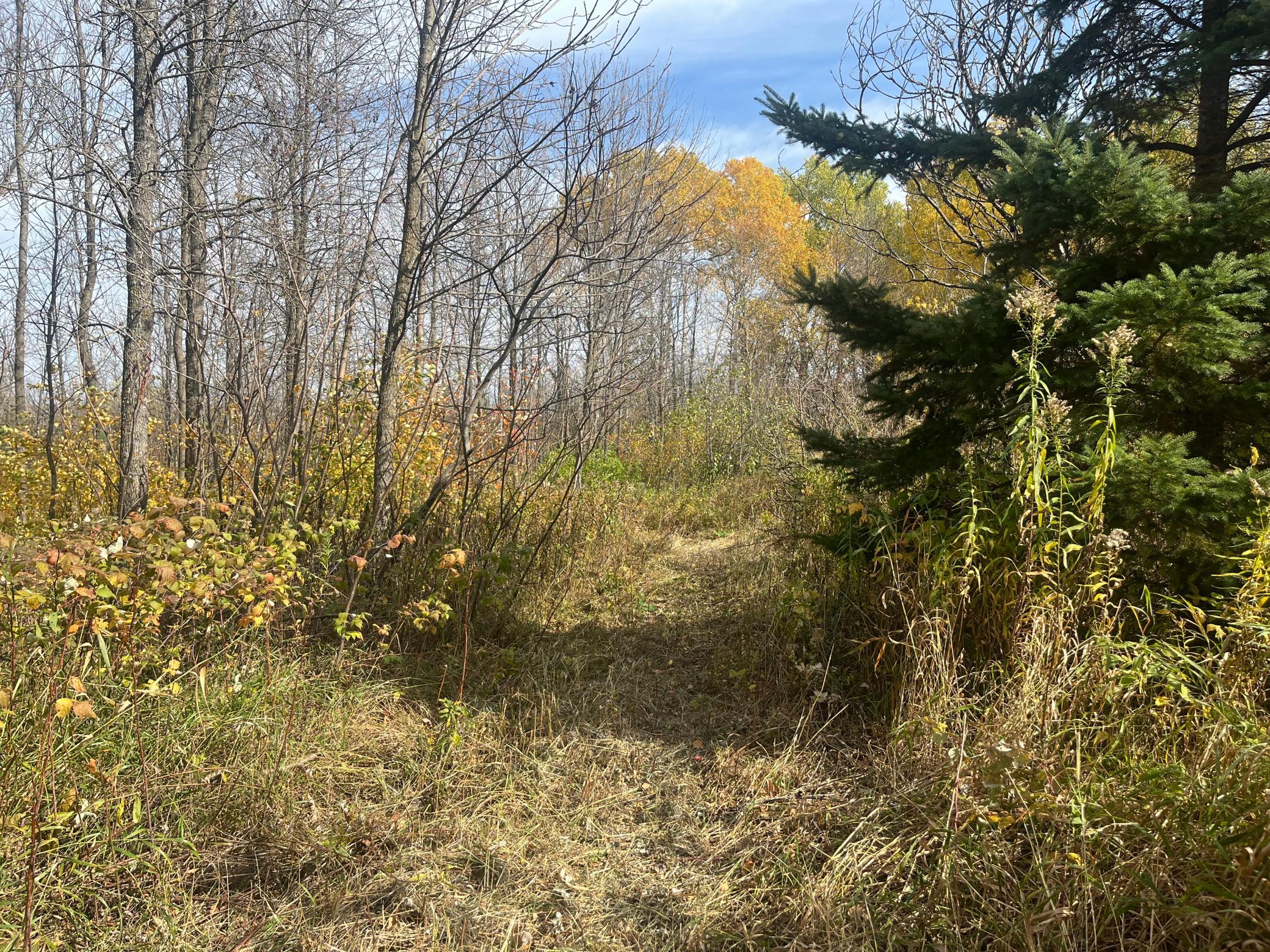 main property photo 47