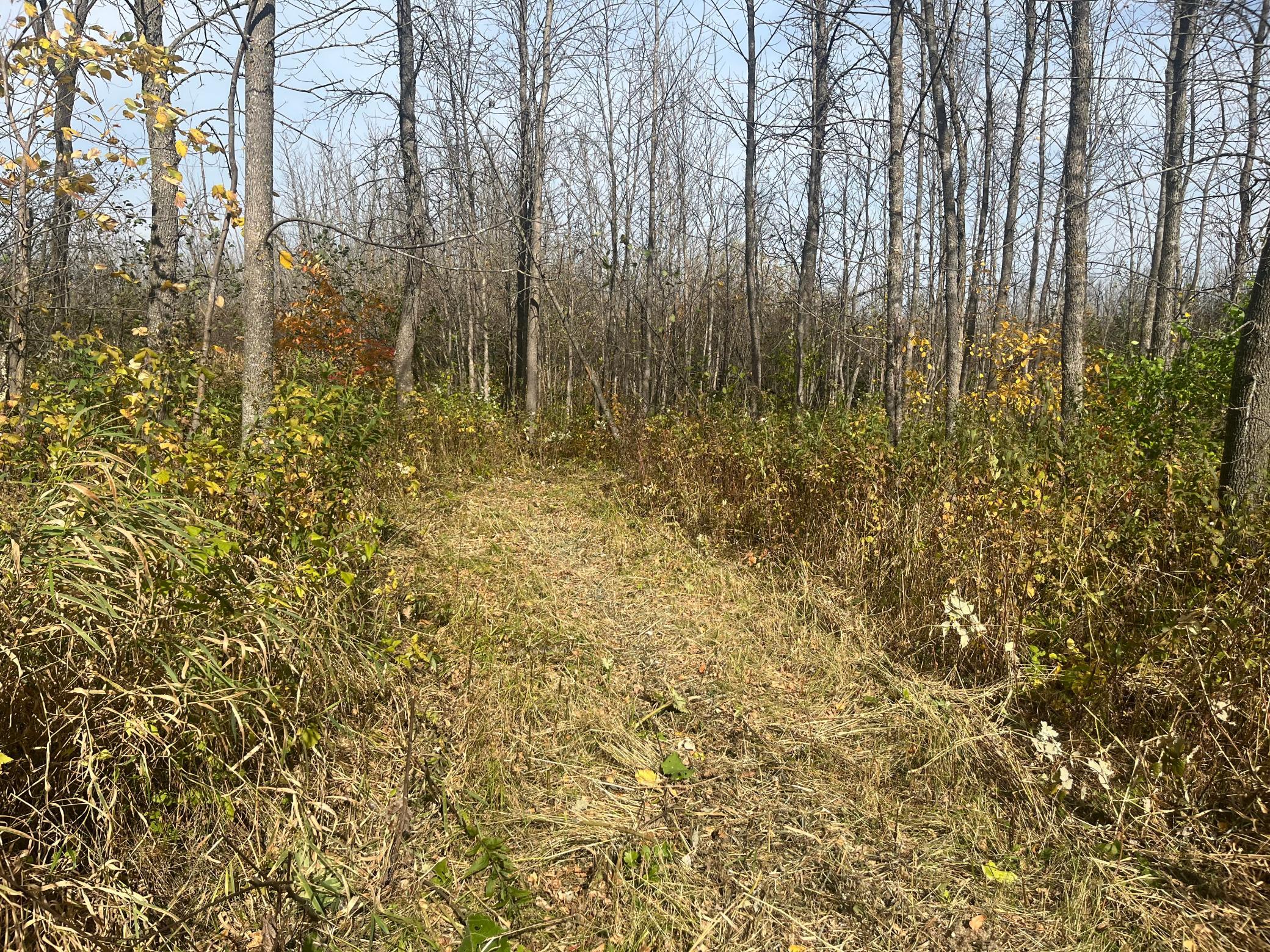 main property photo 48