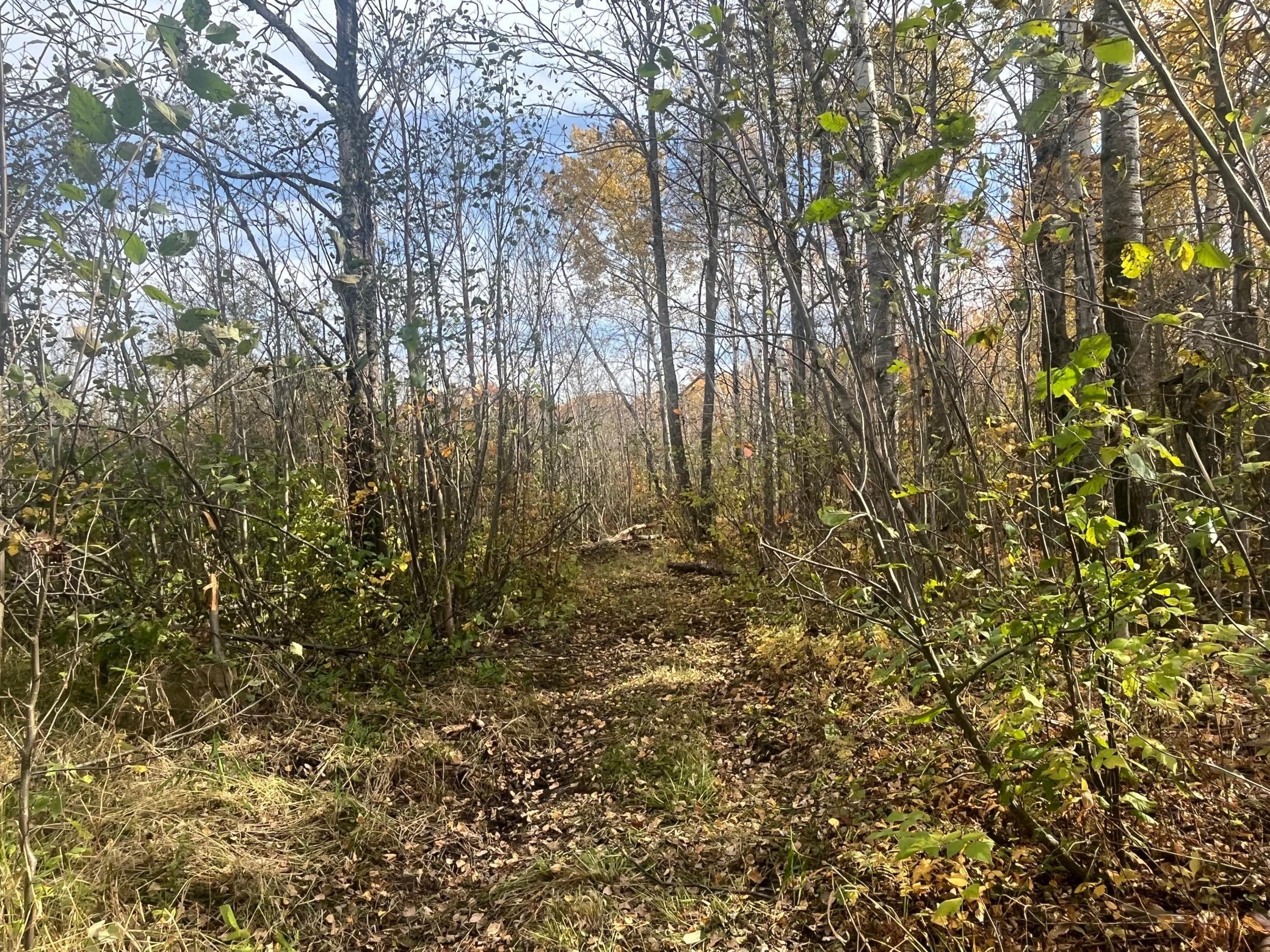 main property photo 49