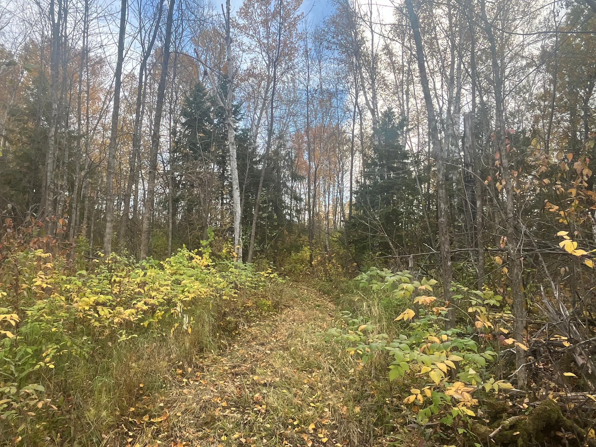 main property photo 51