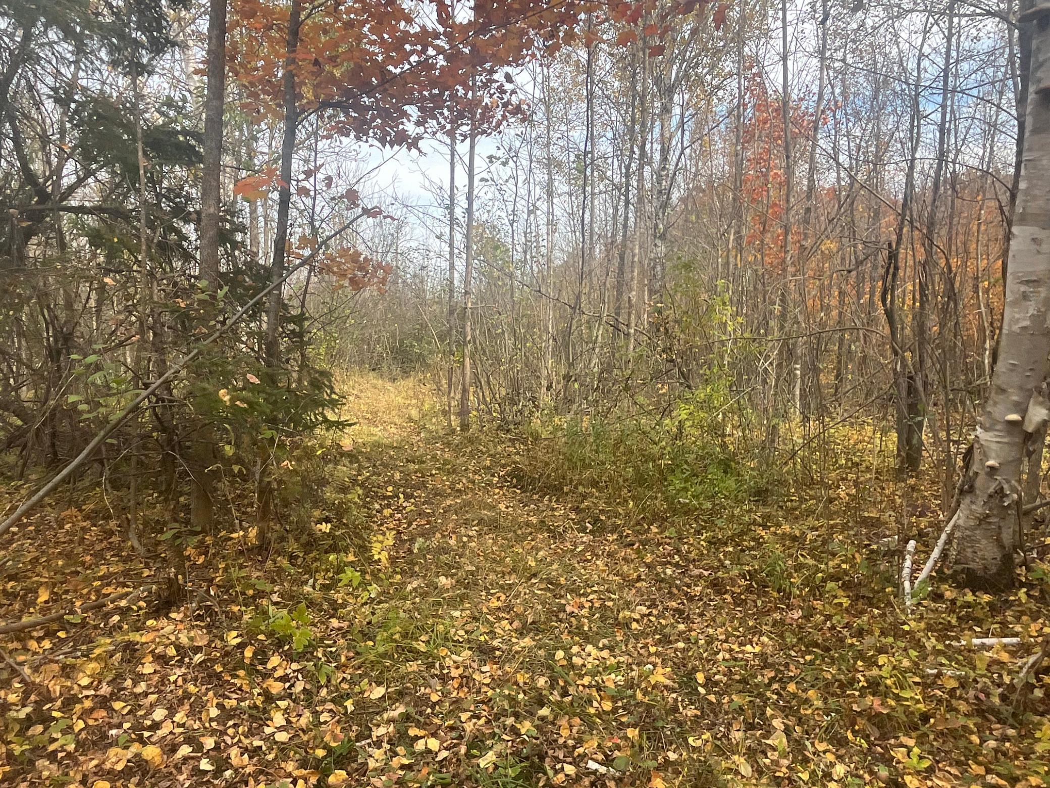 main property photo 52