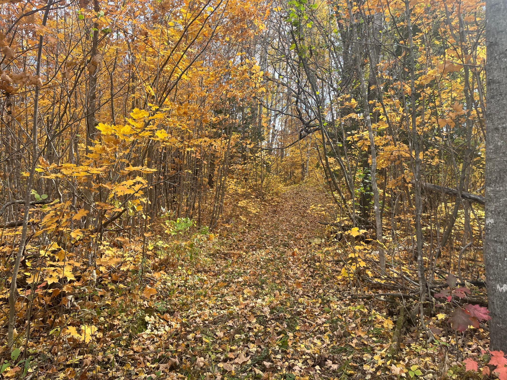 main property photo 53