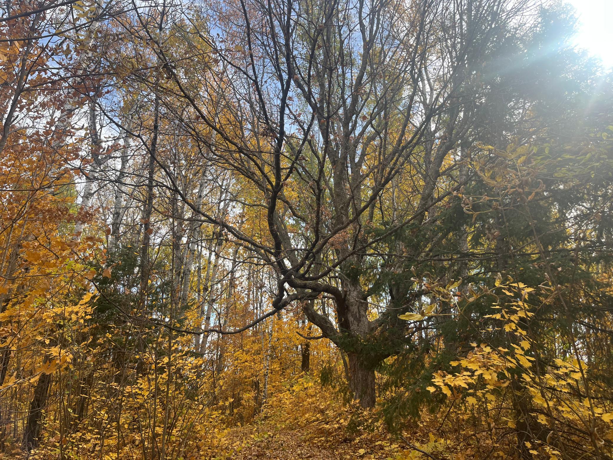 main property photo 54
