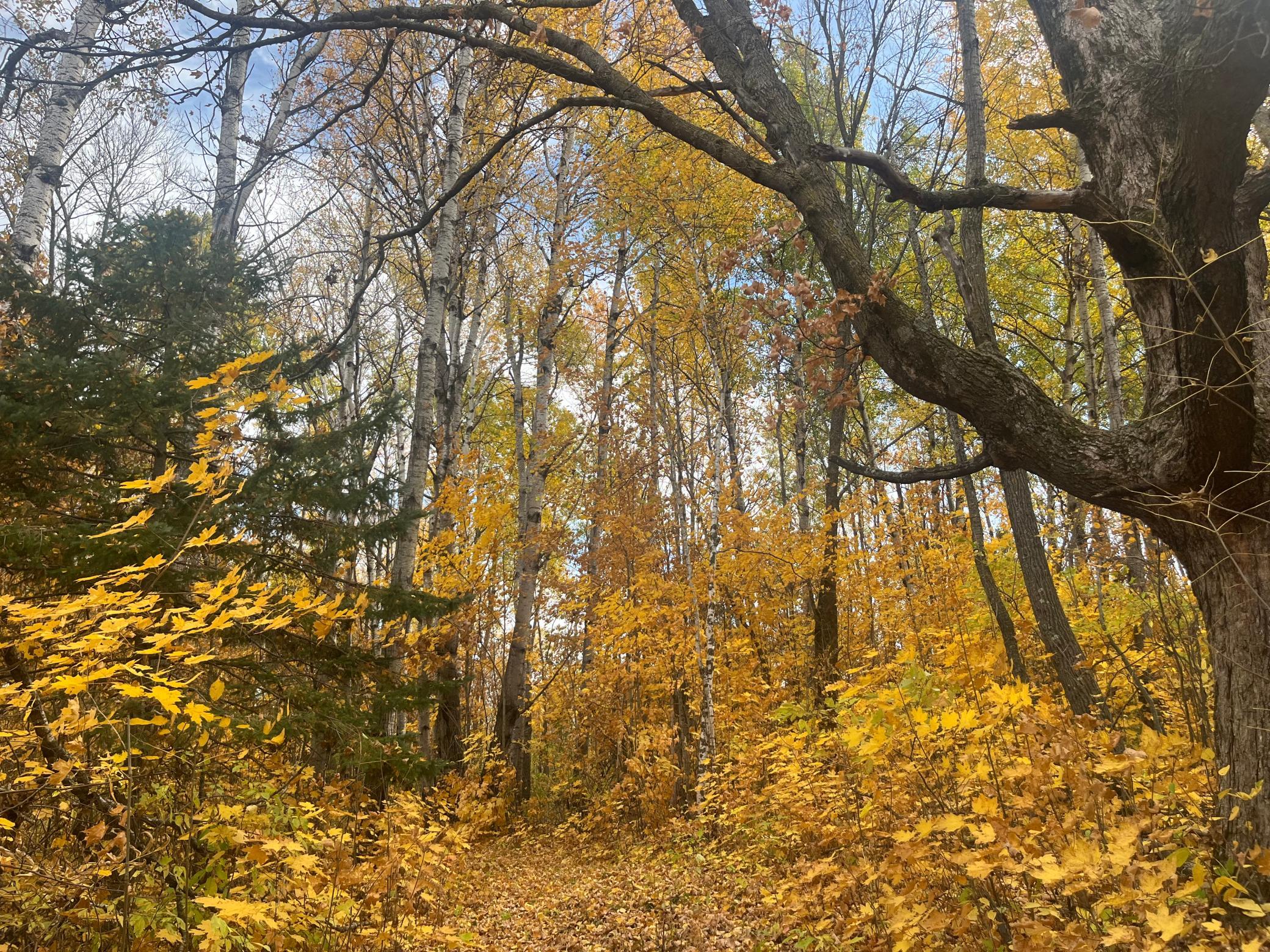 main property photo 55