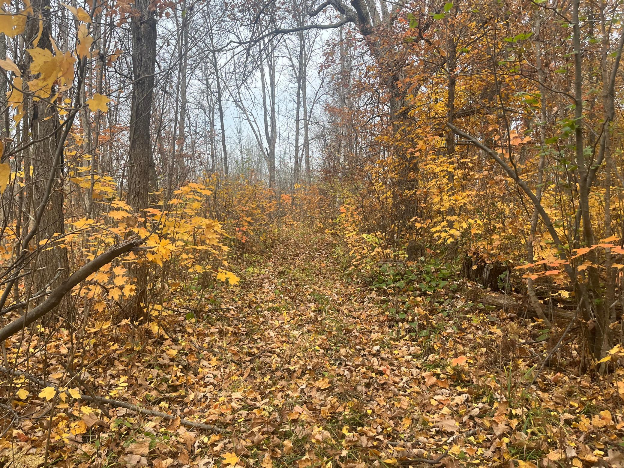main property photo 56