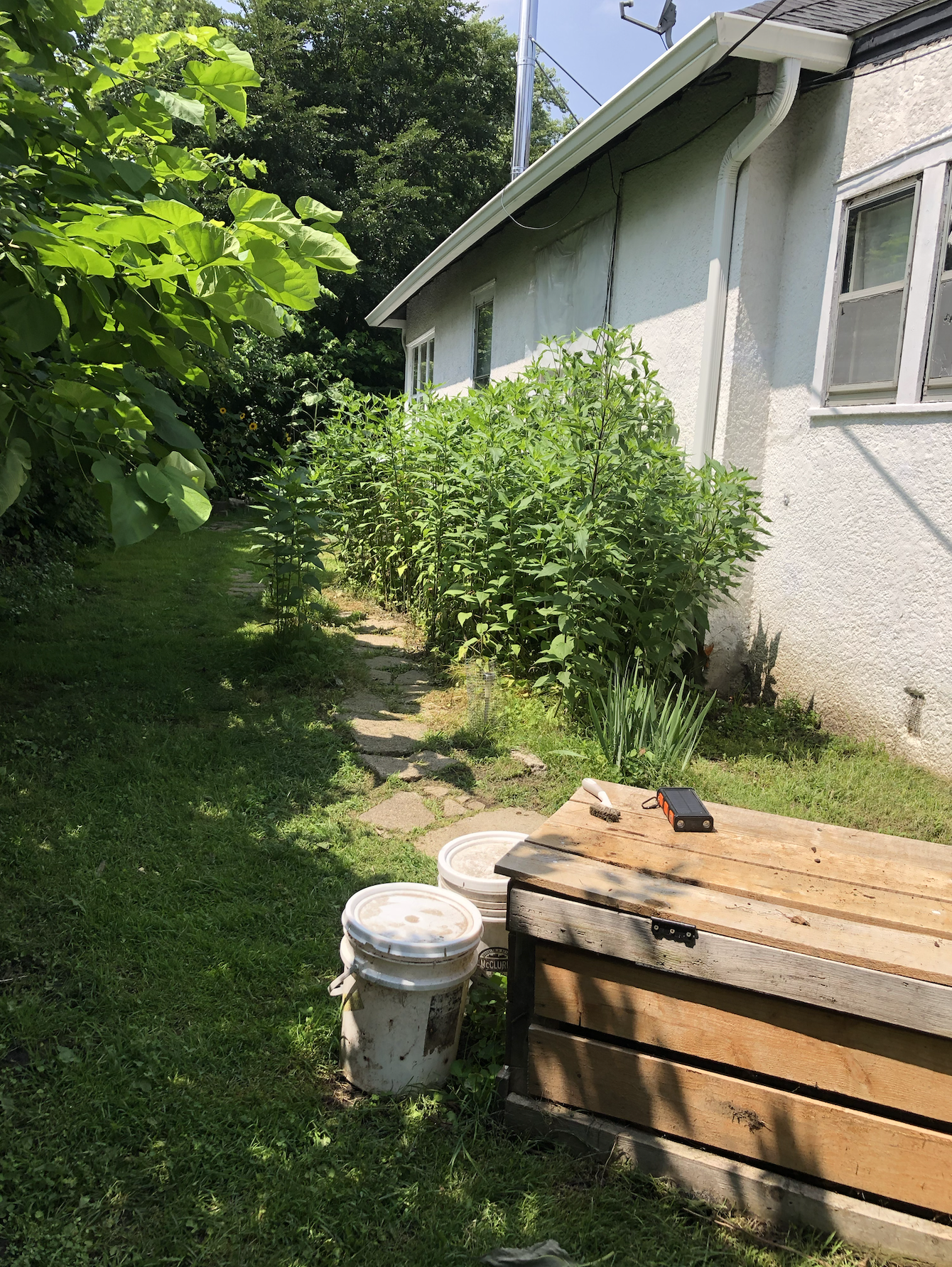main property photo 8