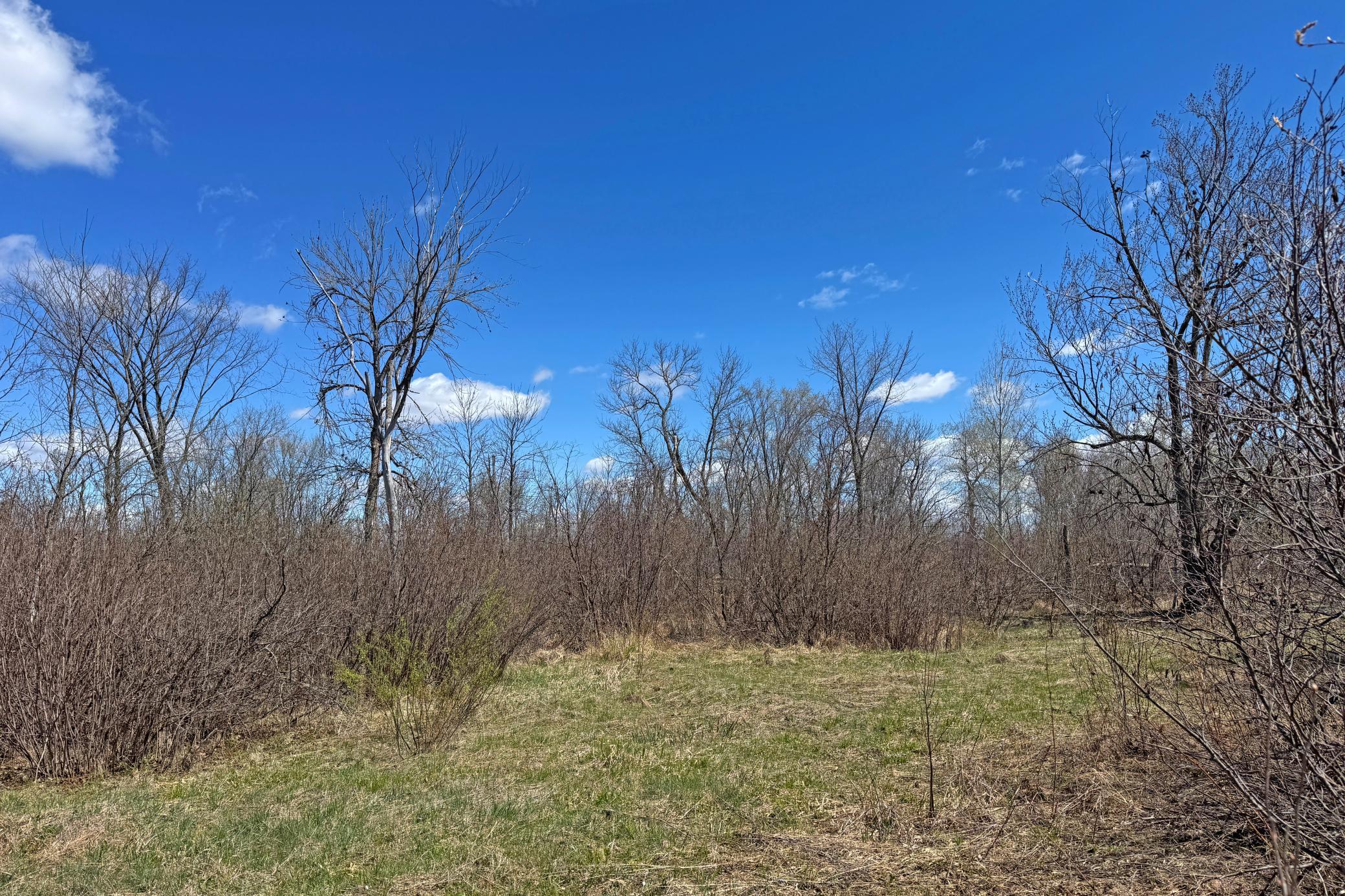 main property photo 18