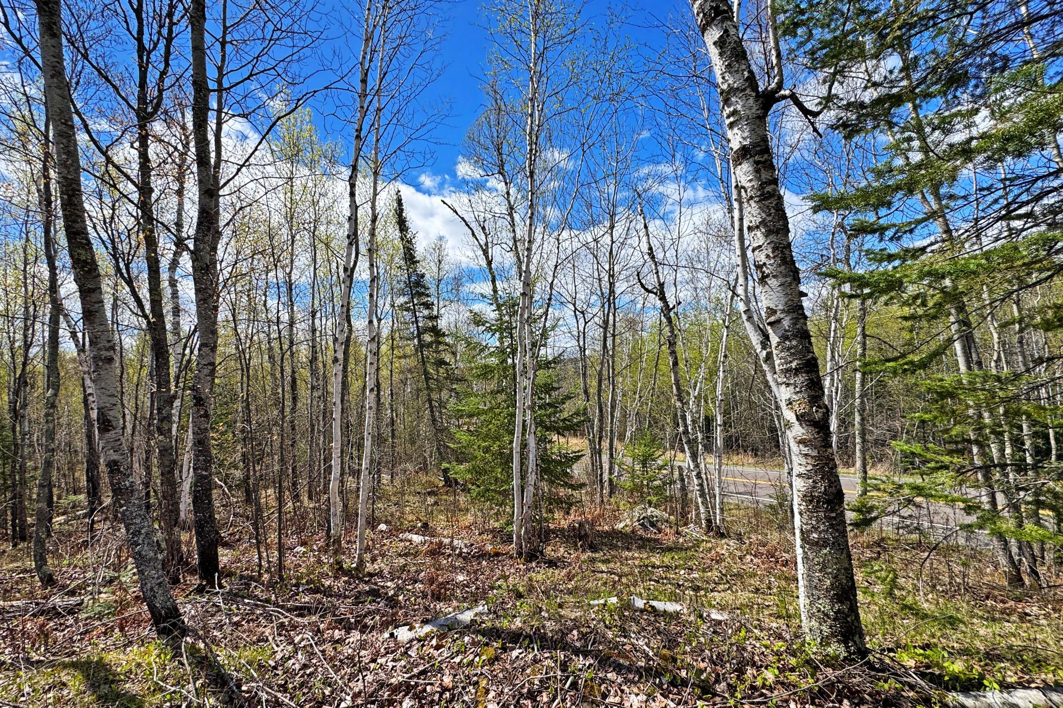 main property photo 37