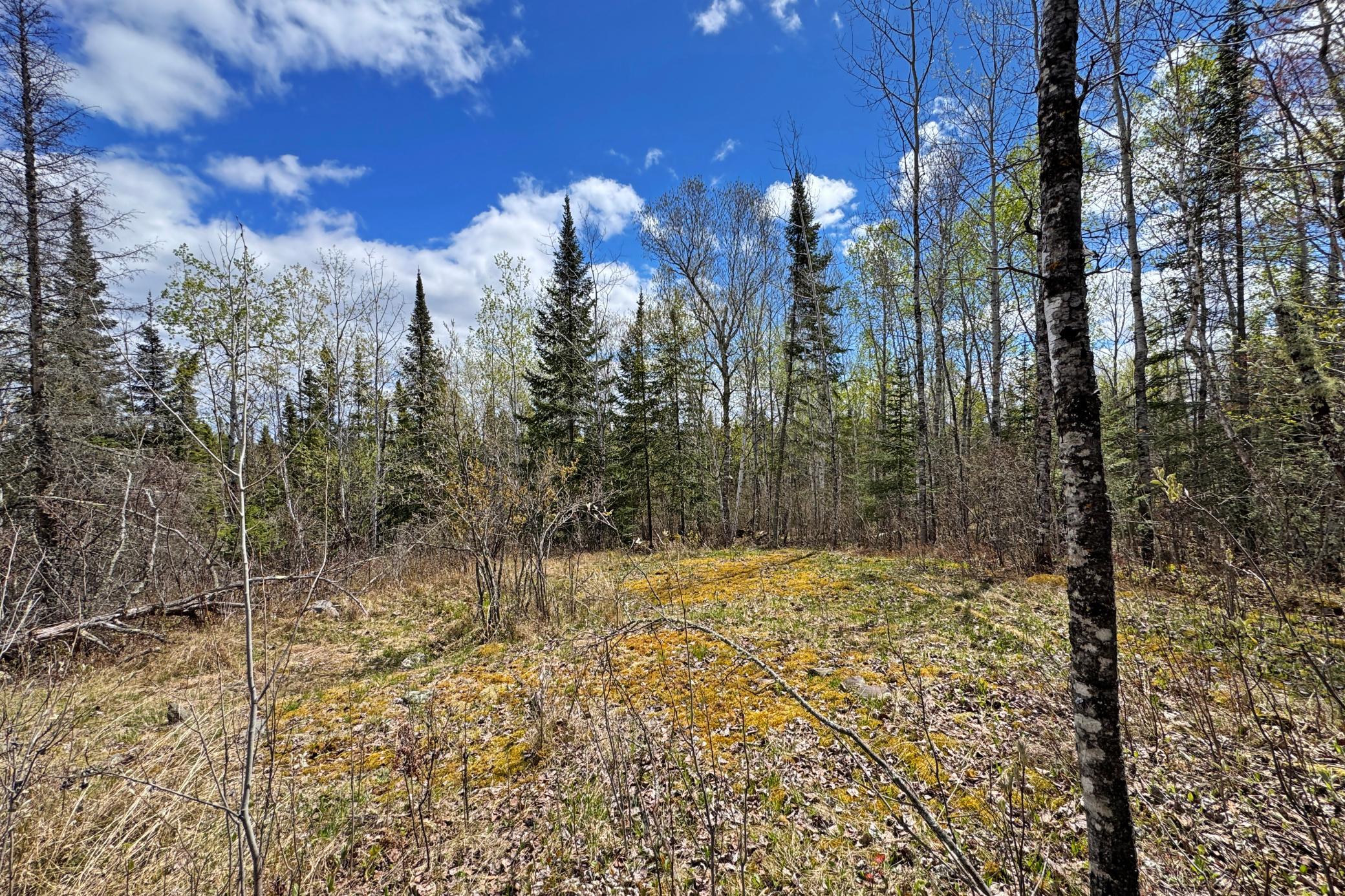 main property photo 42