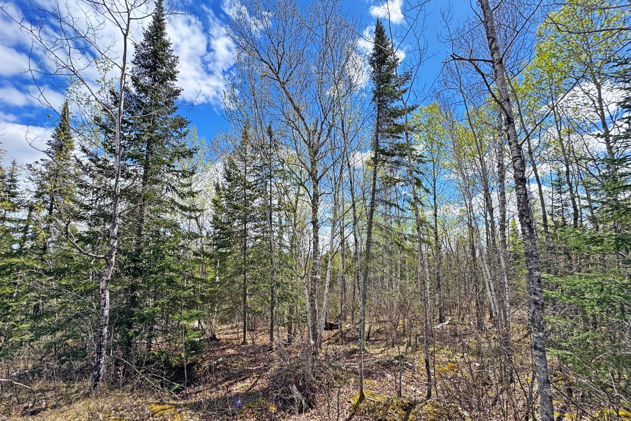 main property photo 44