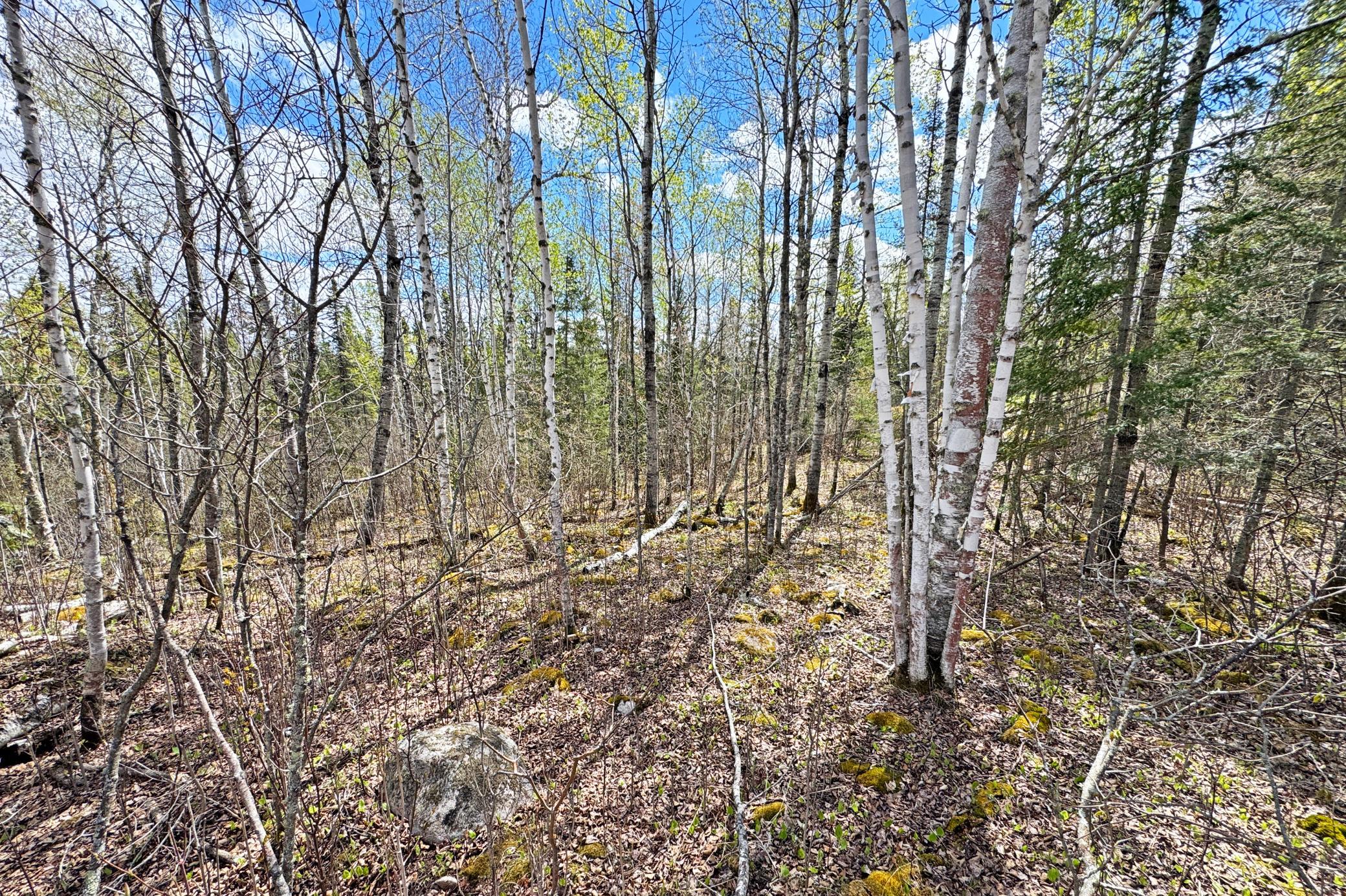 main property photo 45