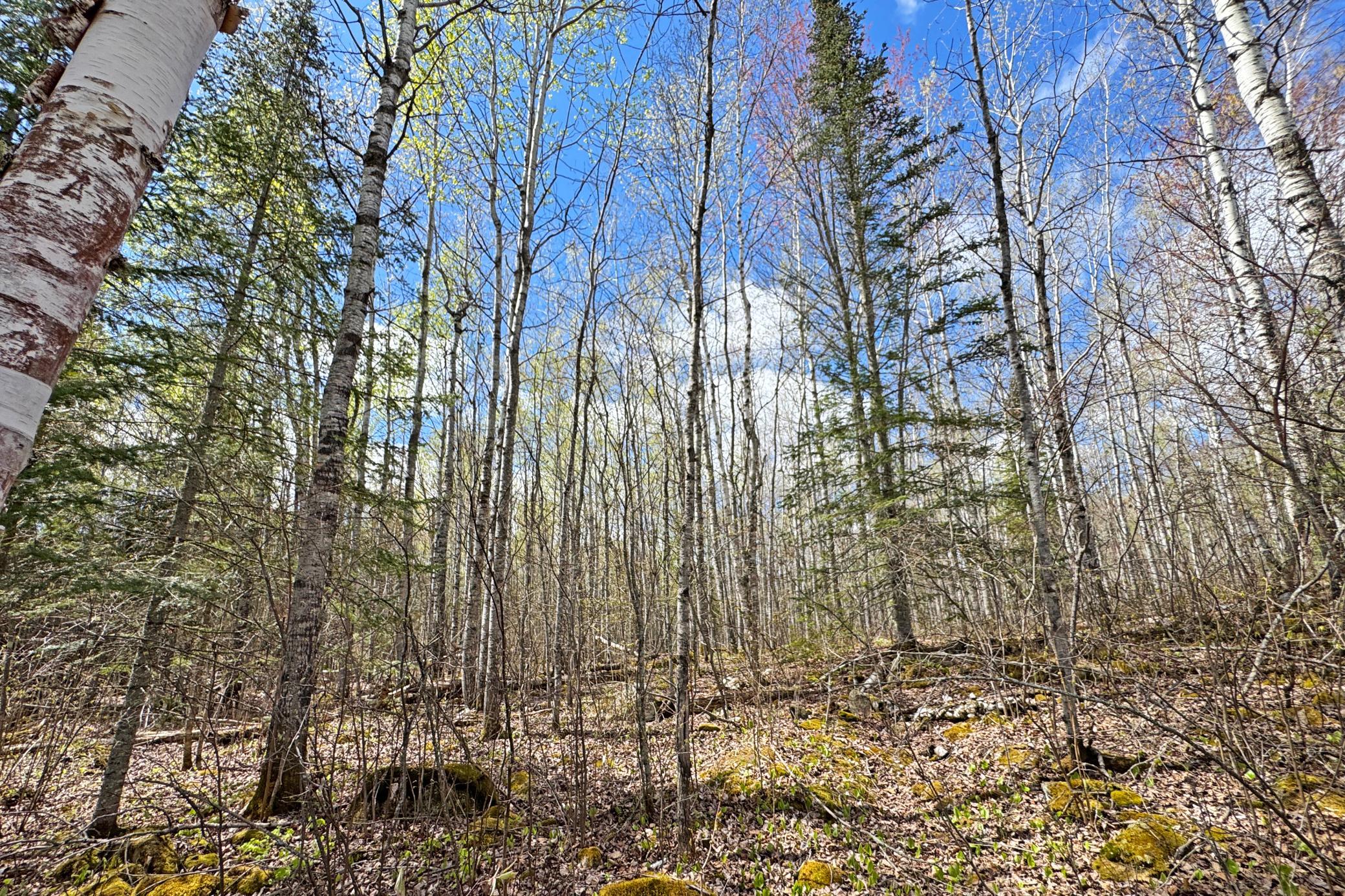 main property photo 47