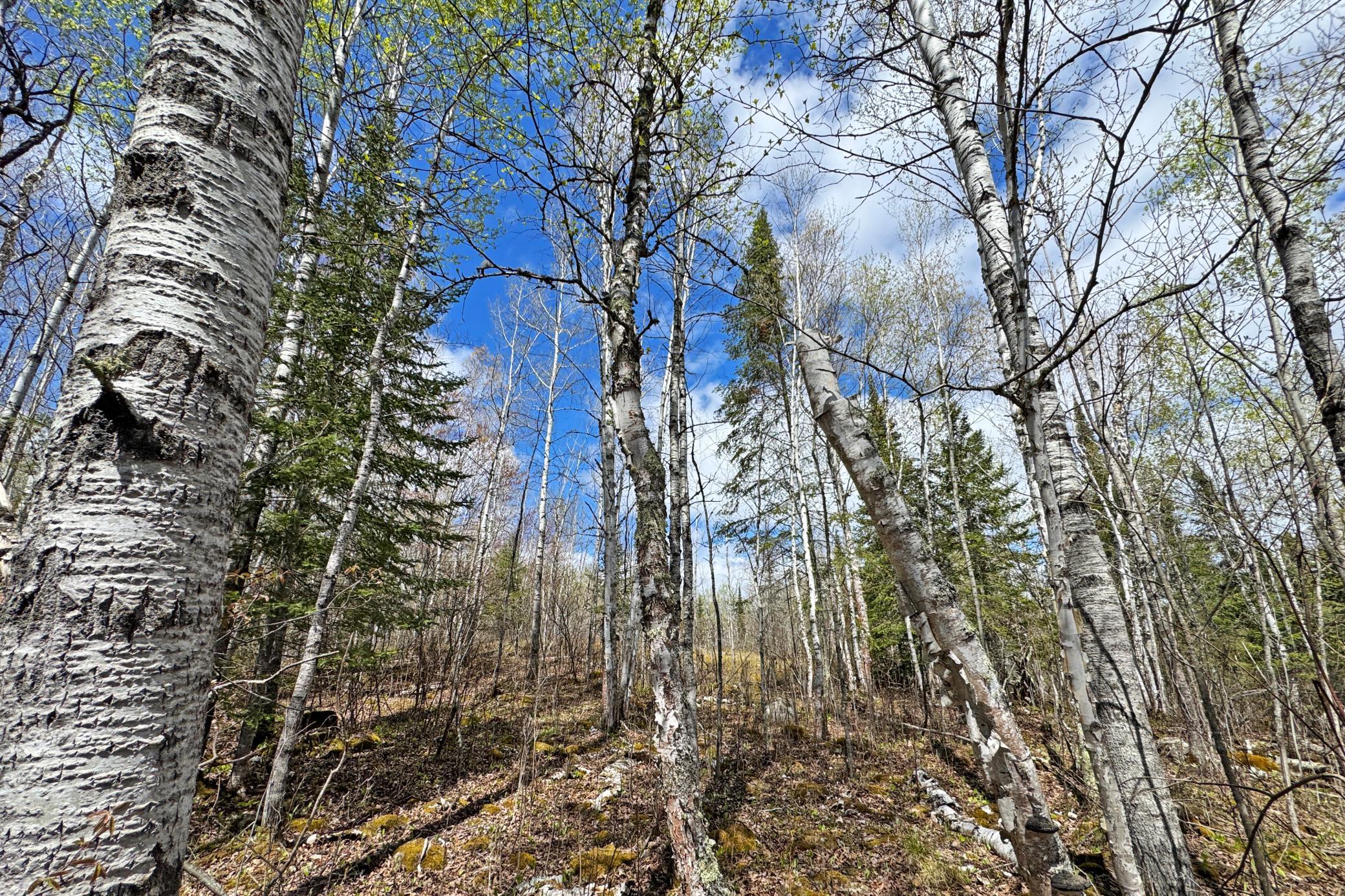 main property photo 49