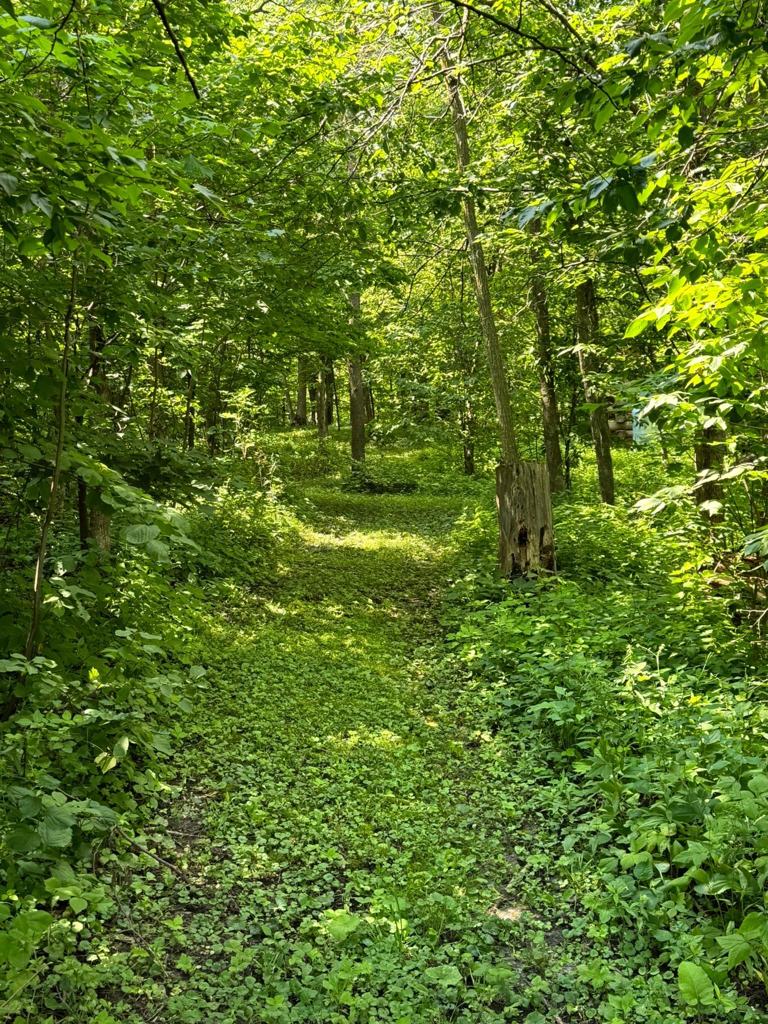 main property photo 88