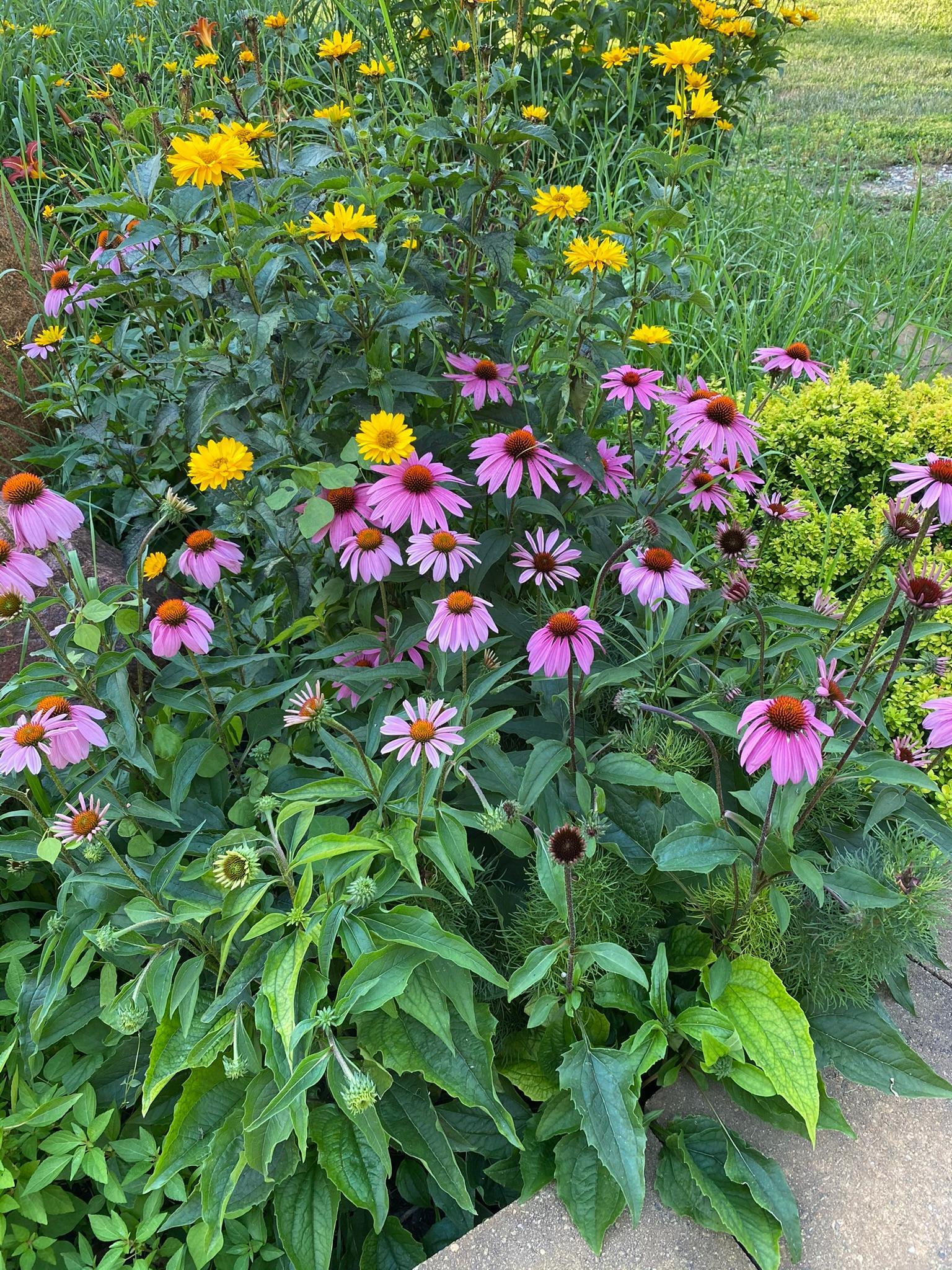 main property photo 99