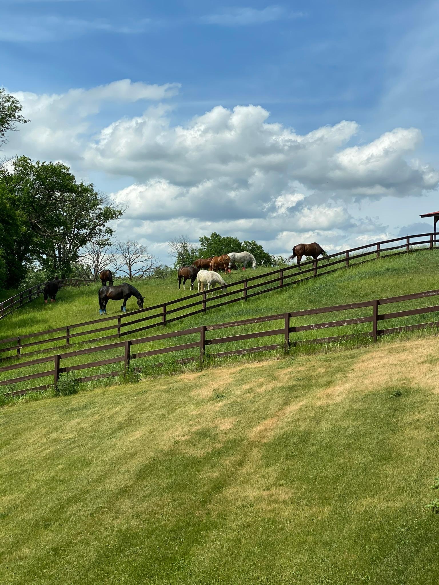 main property photo 107