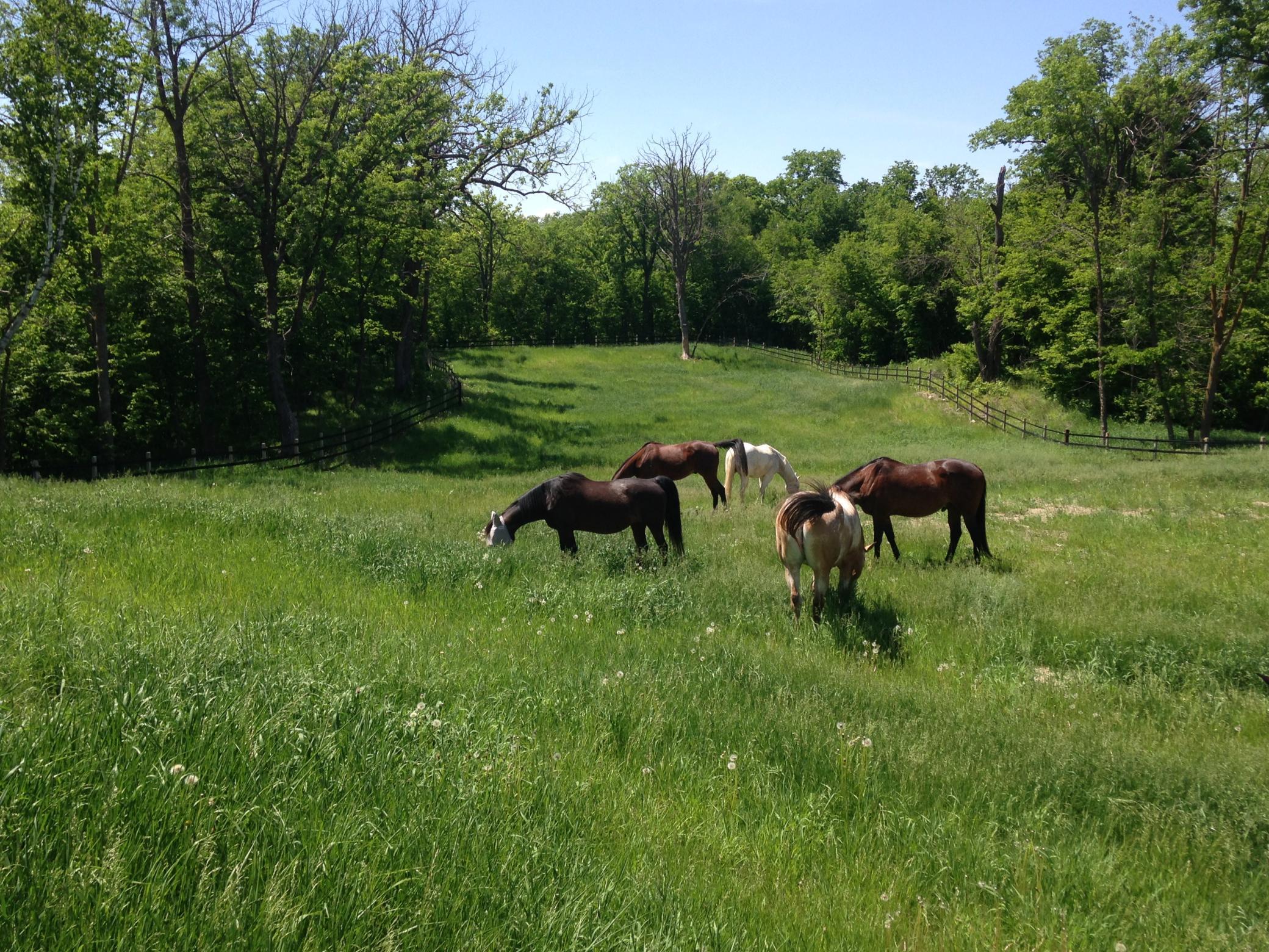 main property photo 7