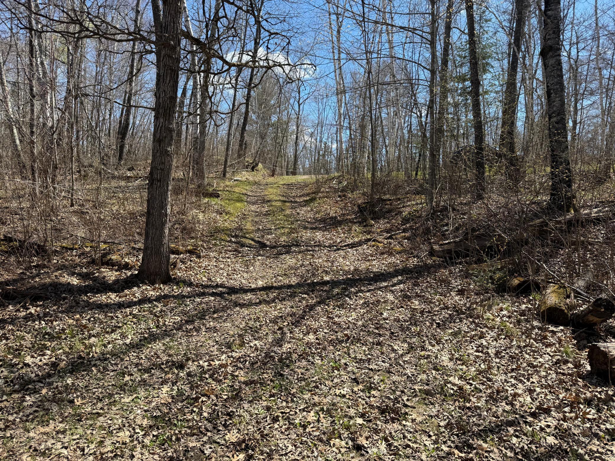 main property photo 10