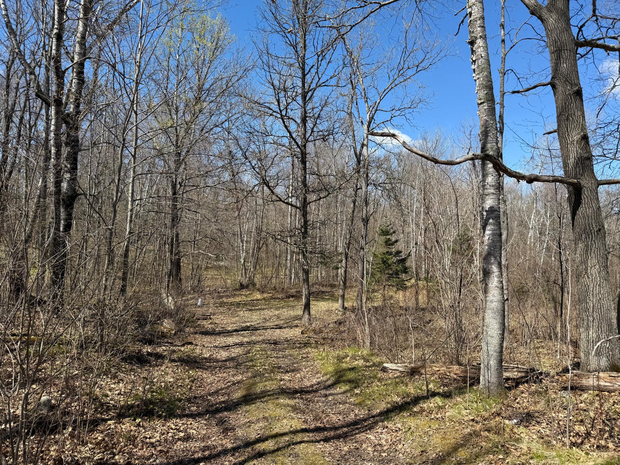 main property photo 9