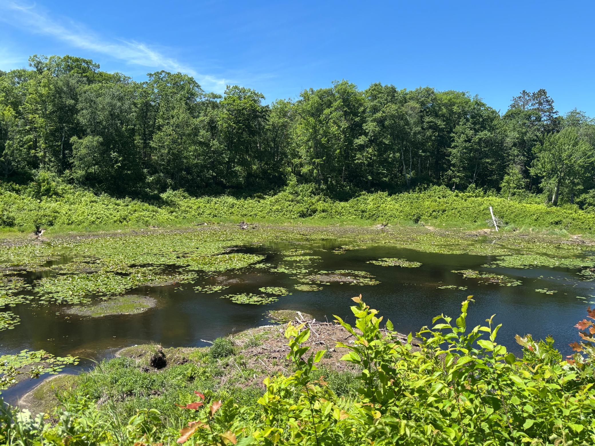 main property photo 17