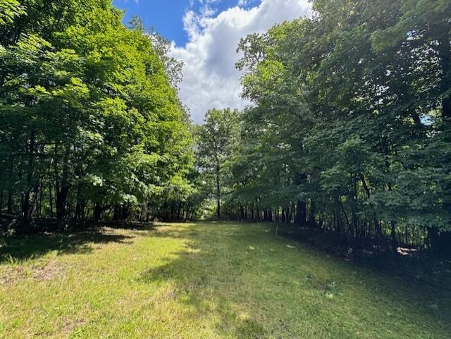 main property photo 44