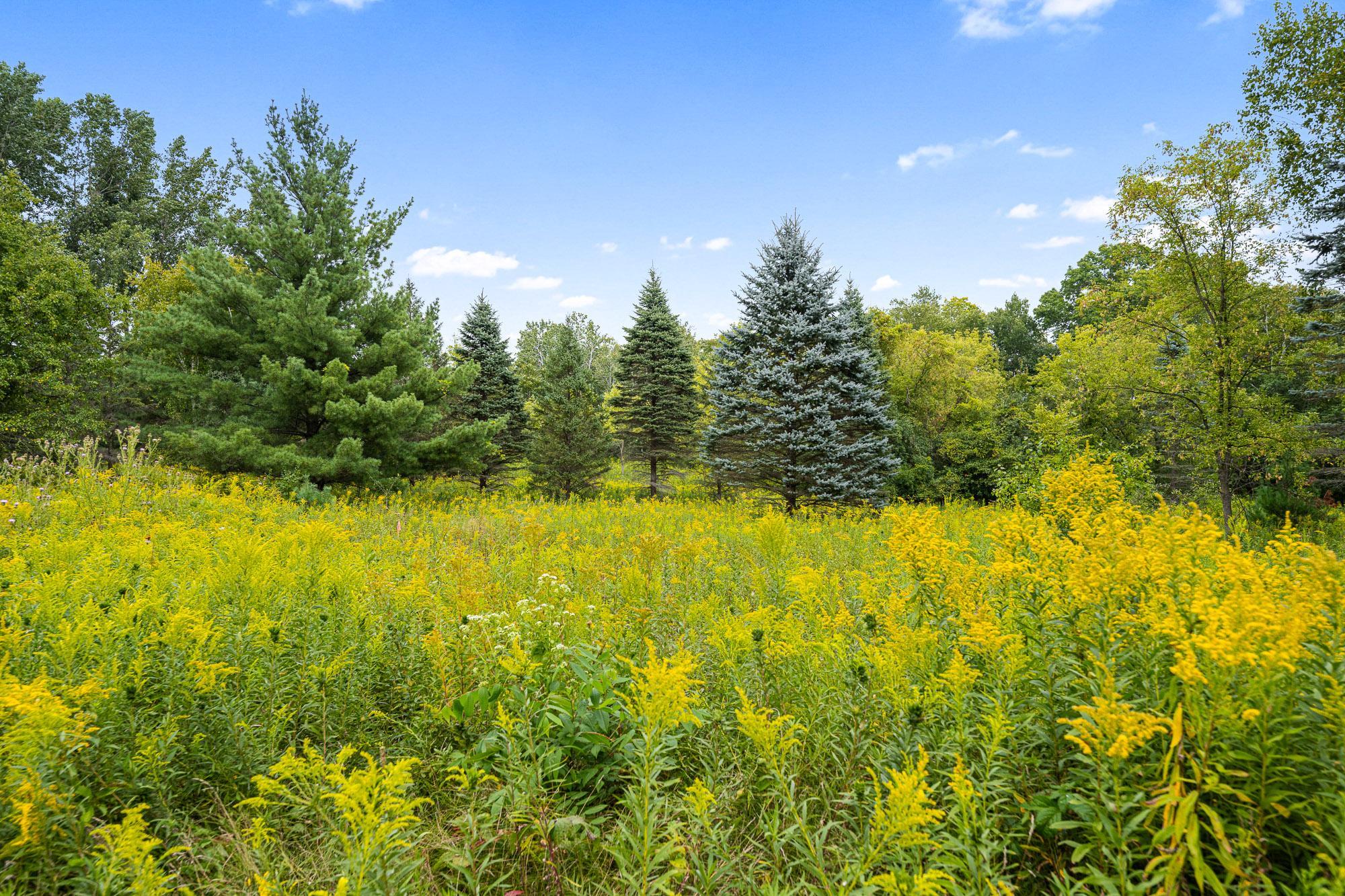 main property photo 70