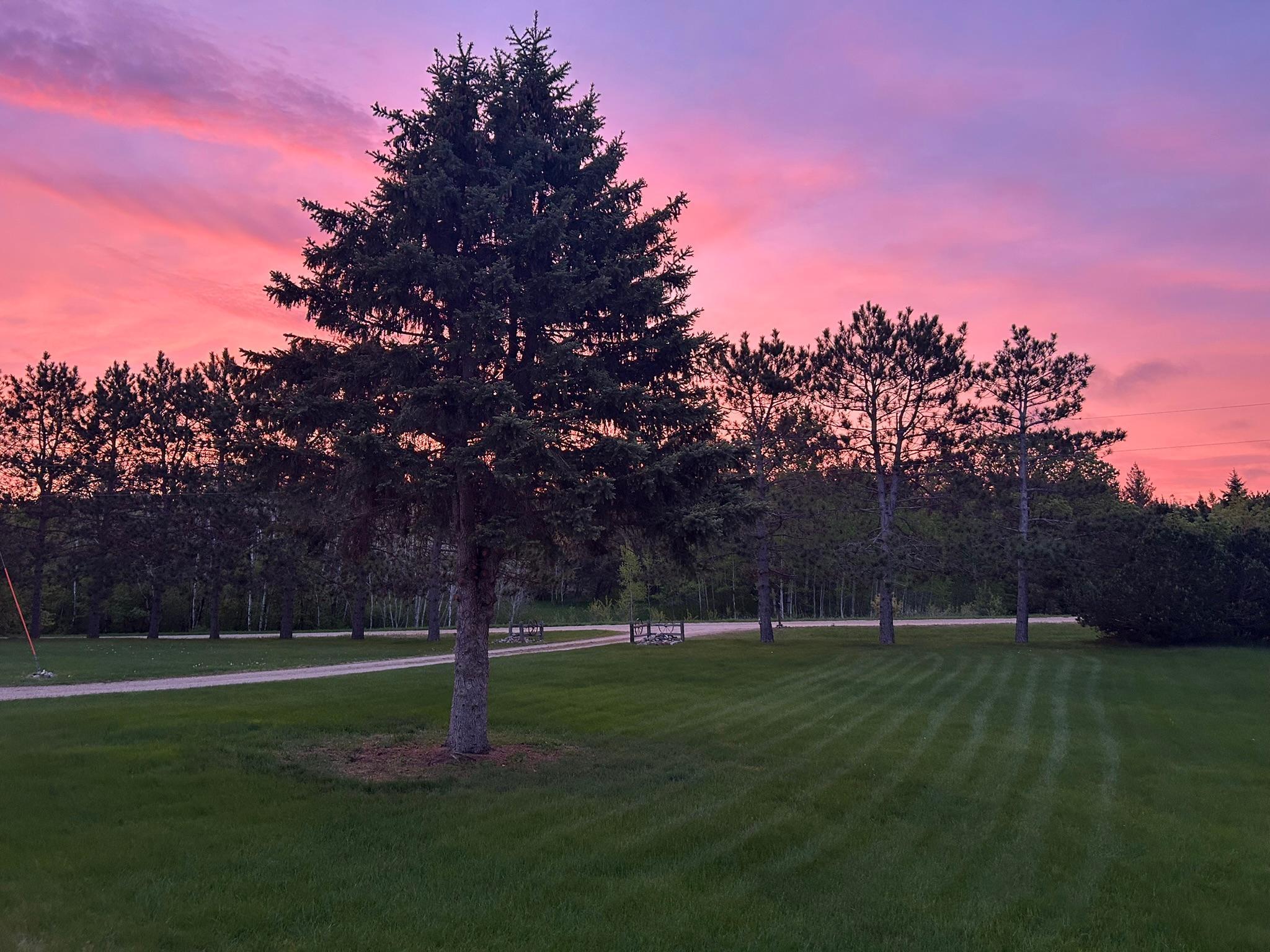 main property photo 33