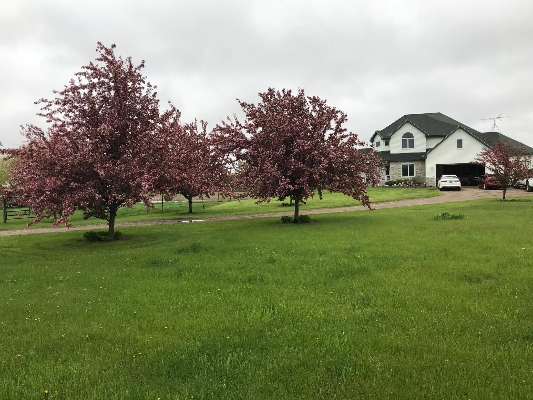 main property photo 35