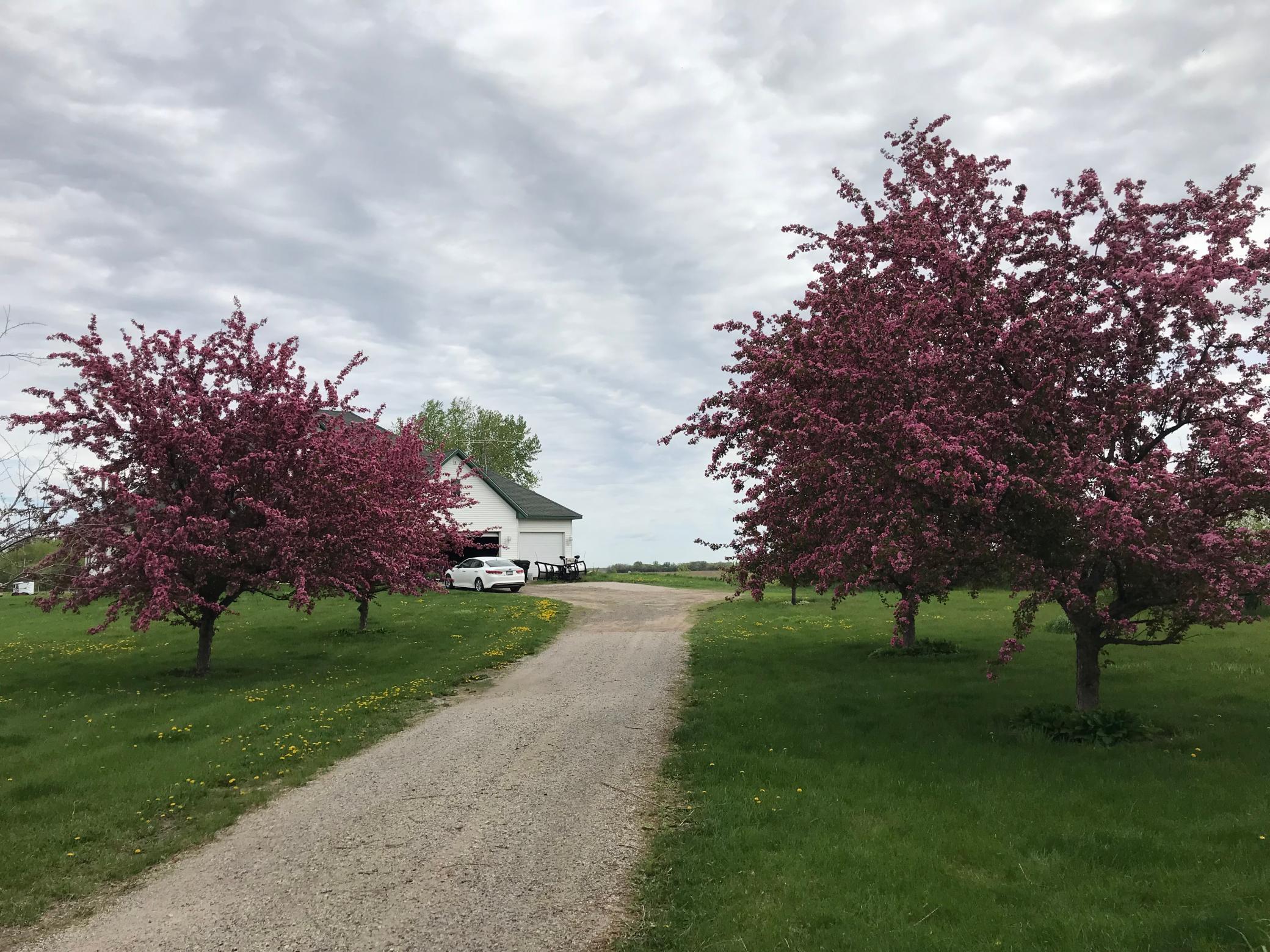 main property photo 36