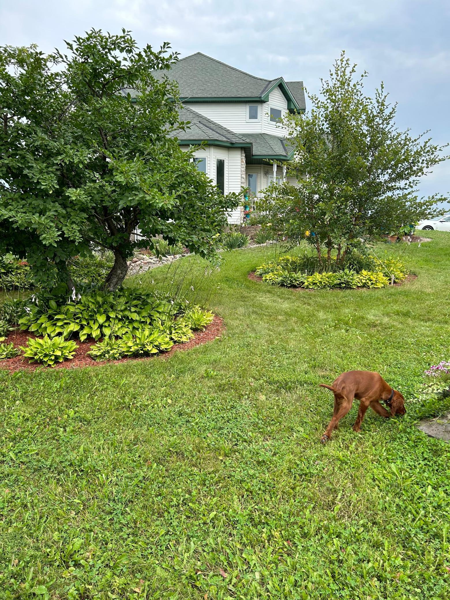 main property photo 40