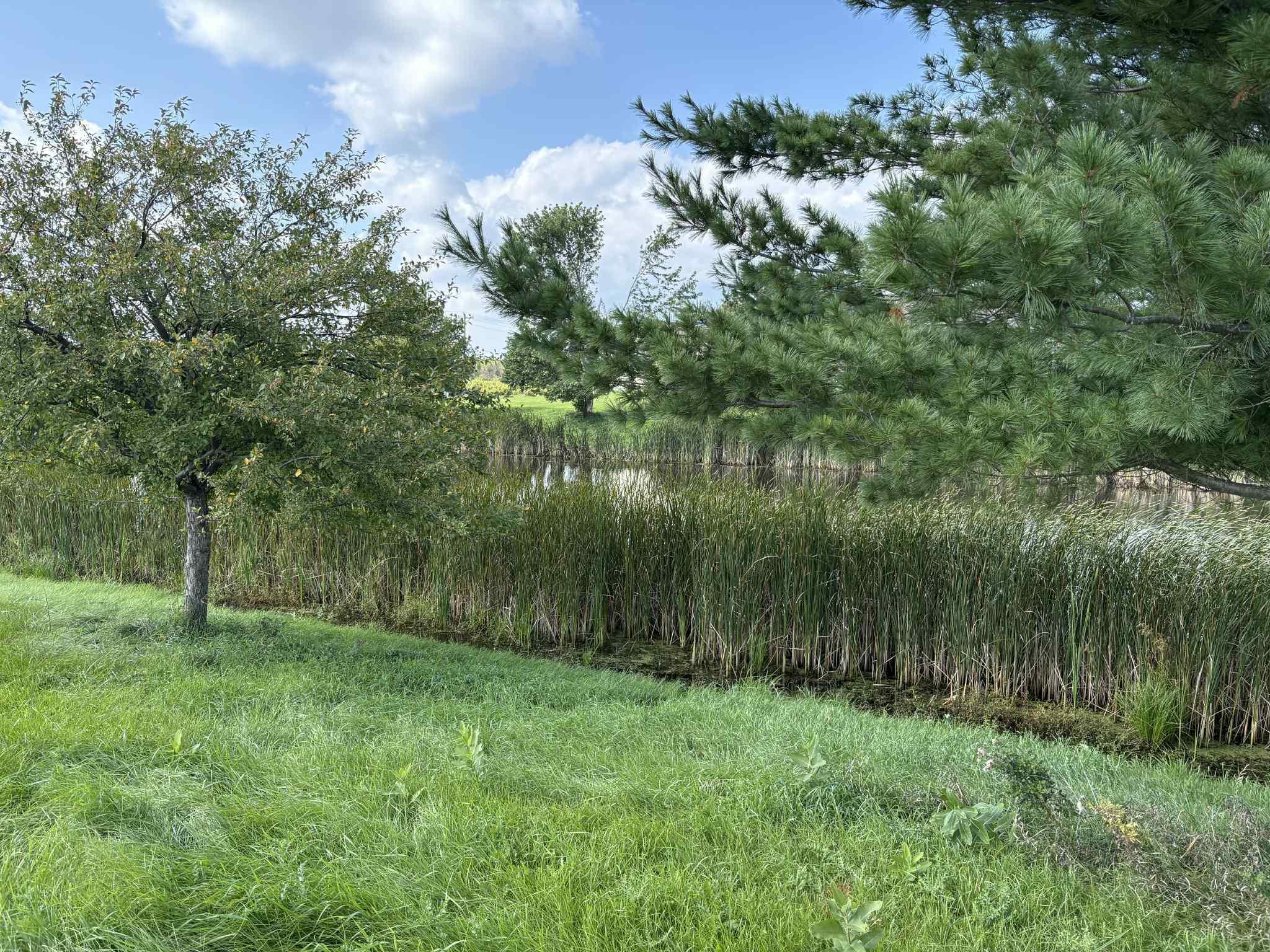 main property photo 40