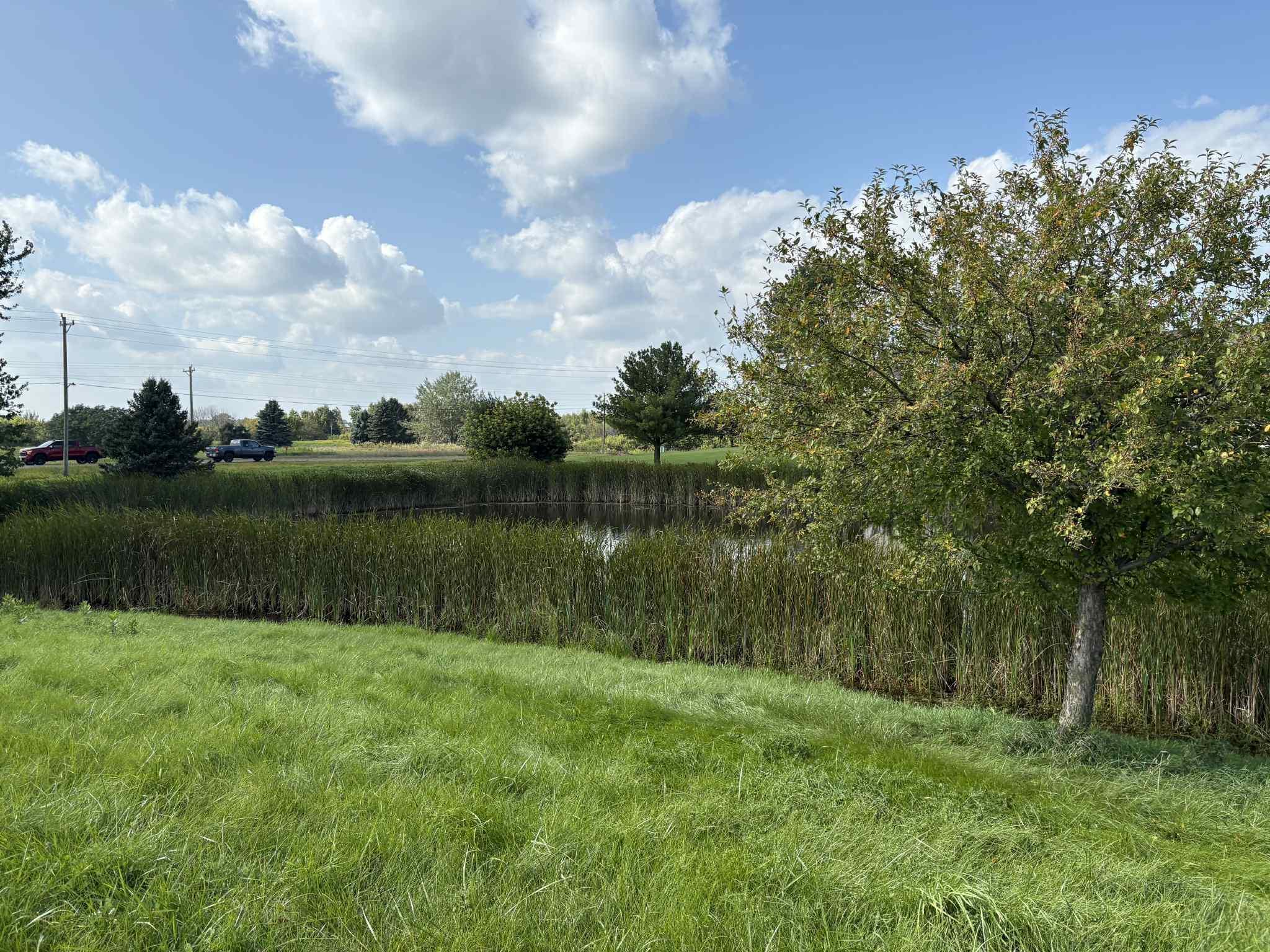 main property photo 42