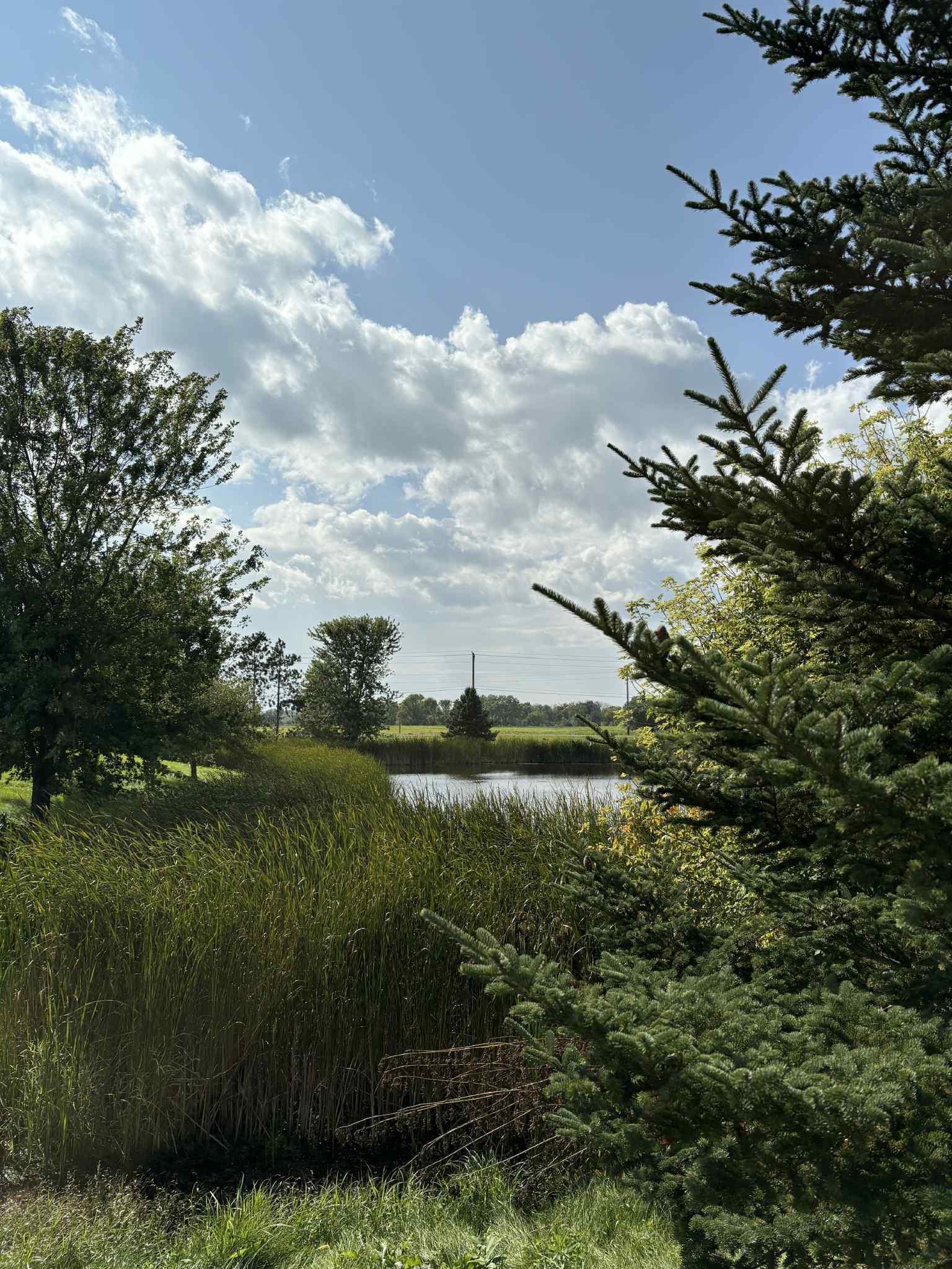 main property photo 45