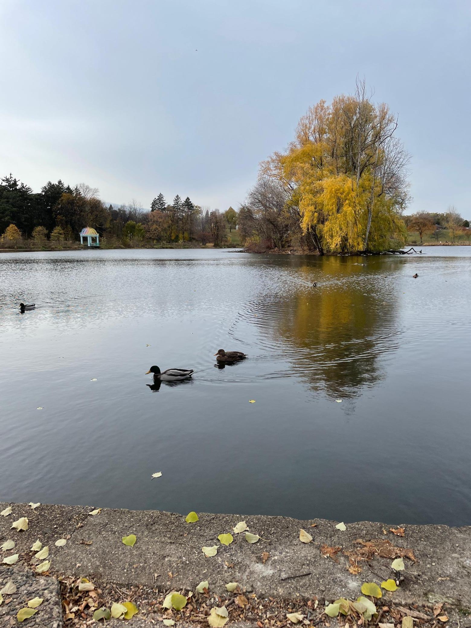 main property photo 16