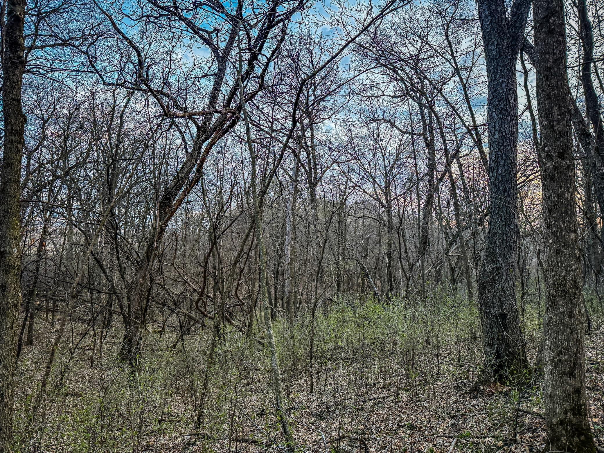 main property photo 12