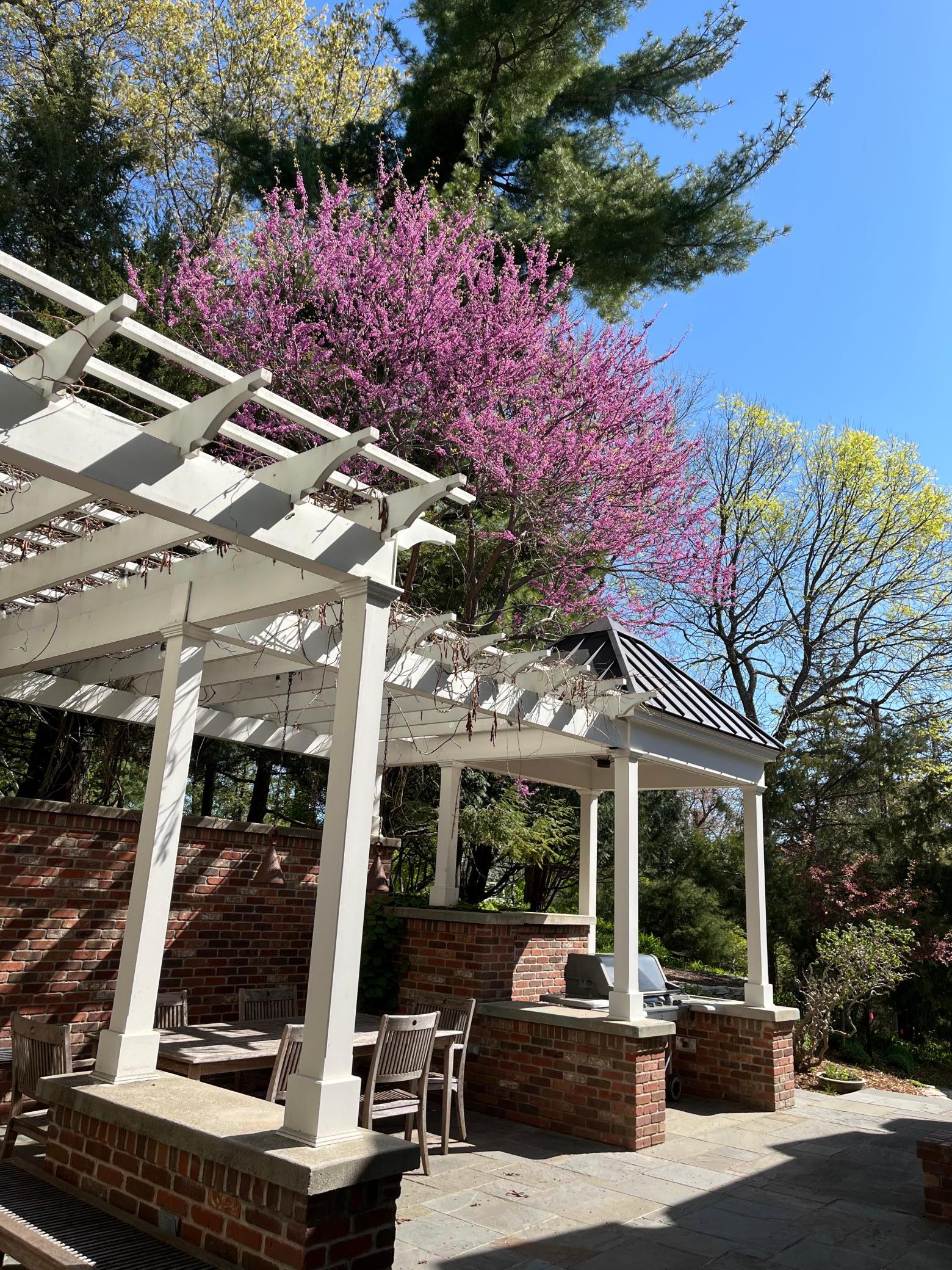 main property photo 144