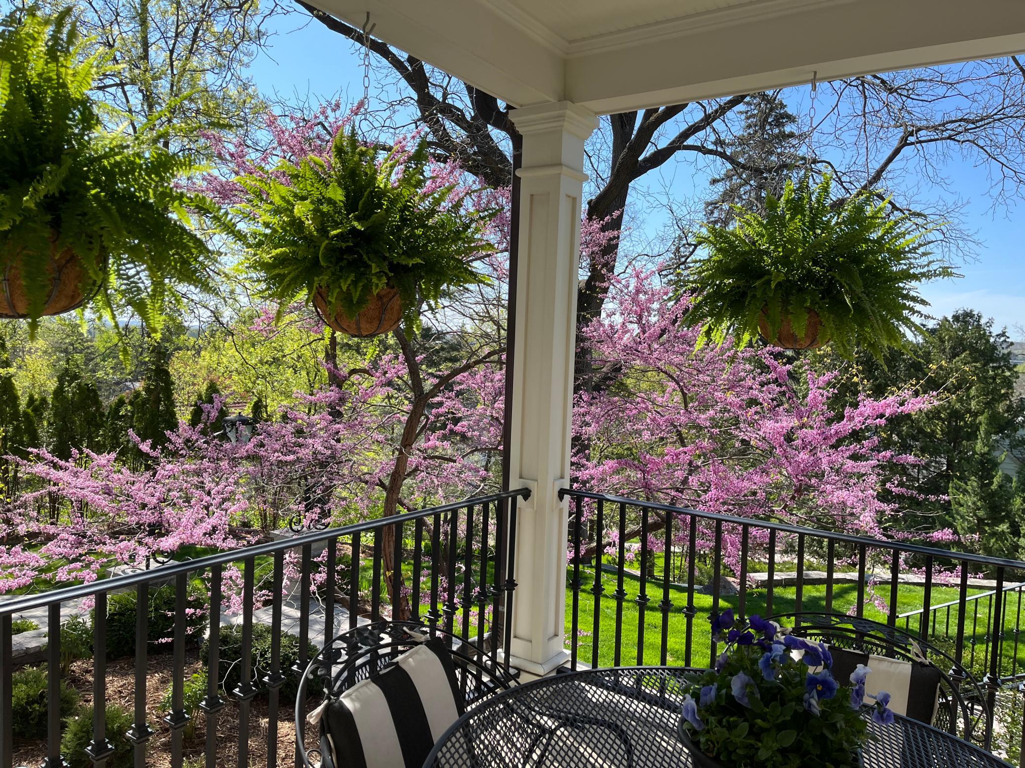 main property photo 153