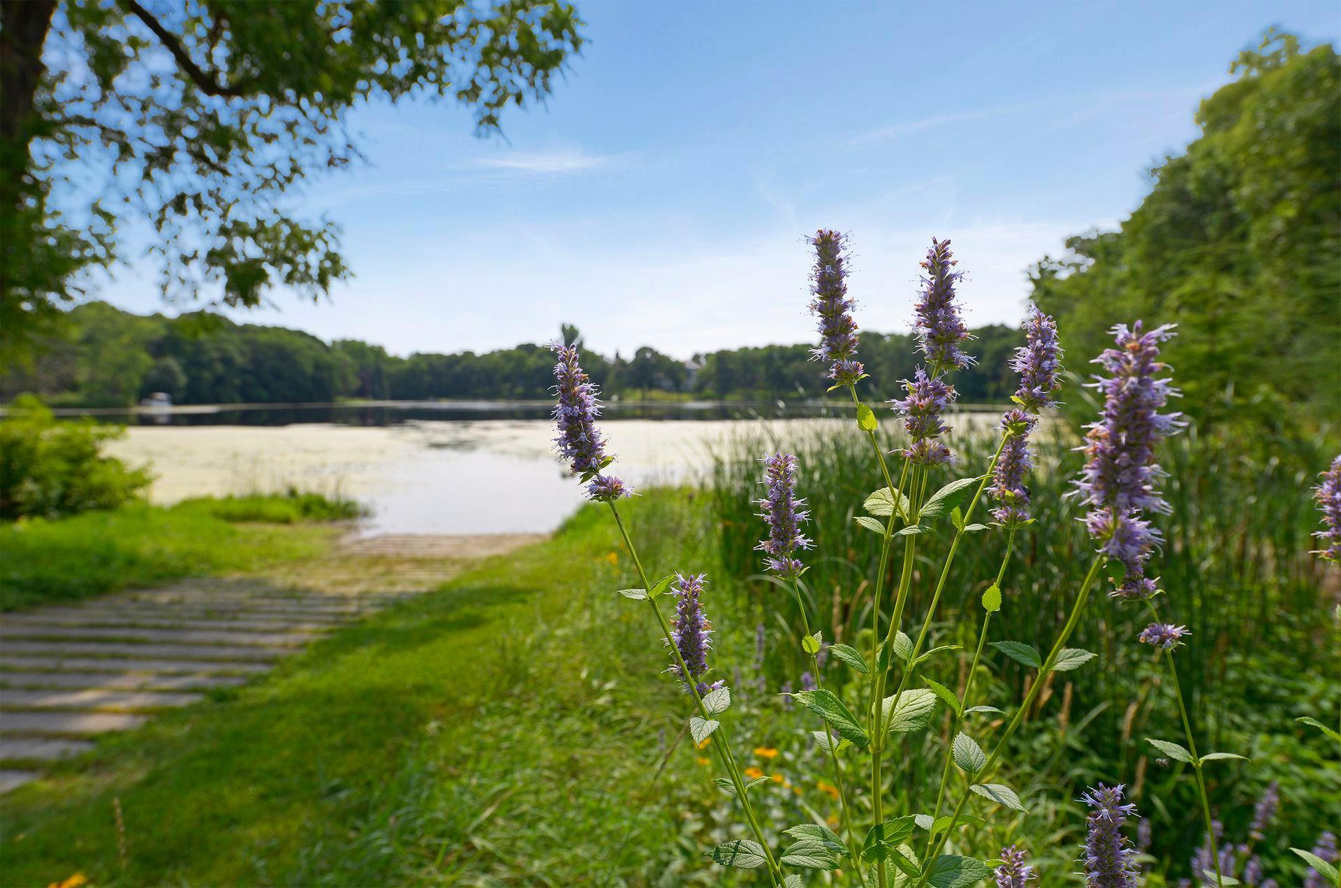 main property photo 109
