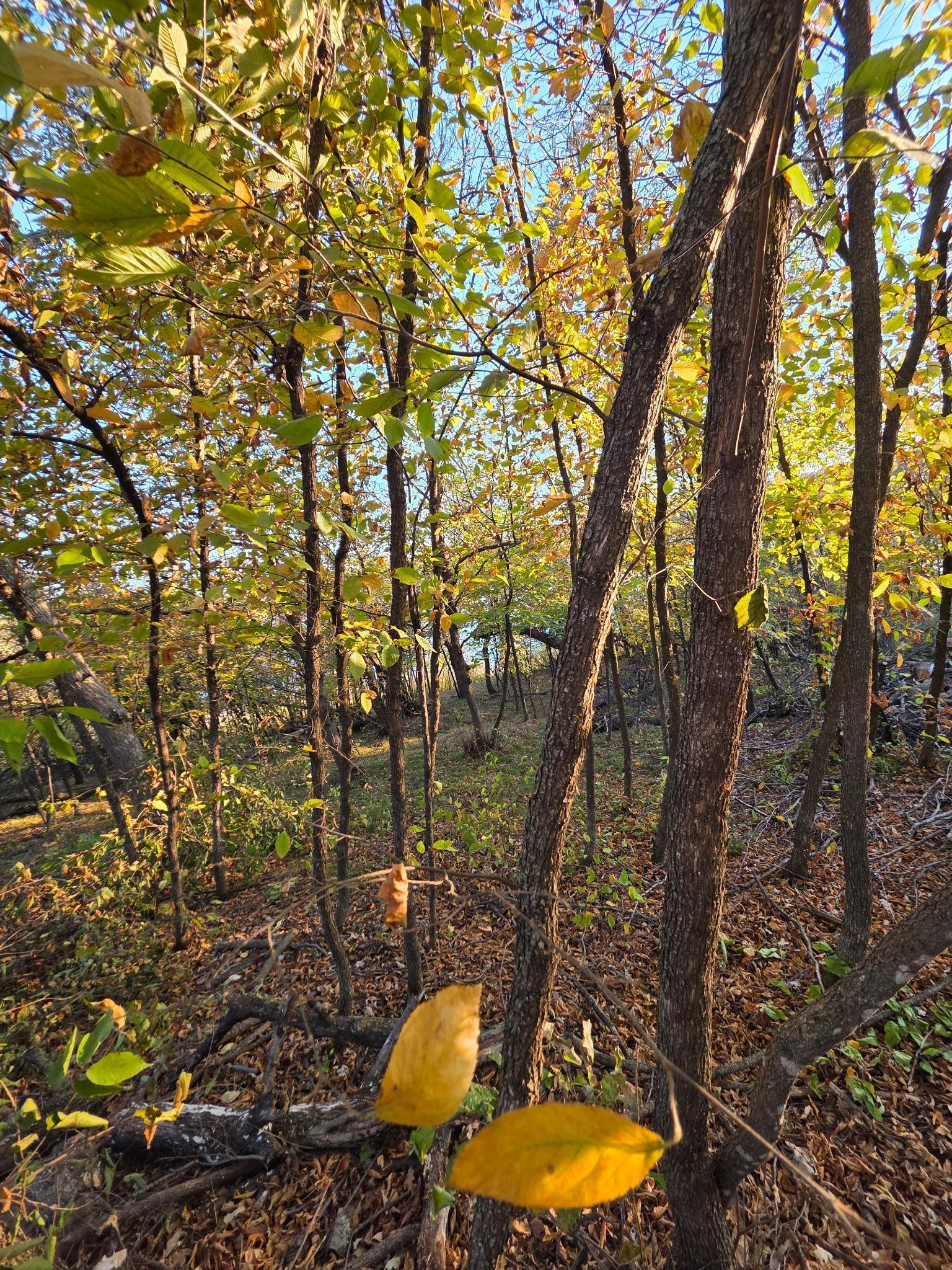 main property photo 13