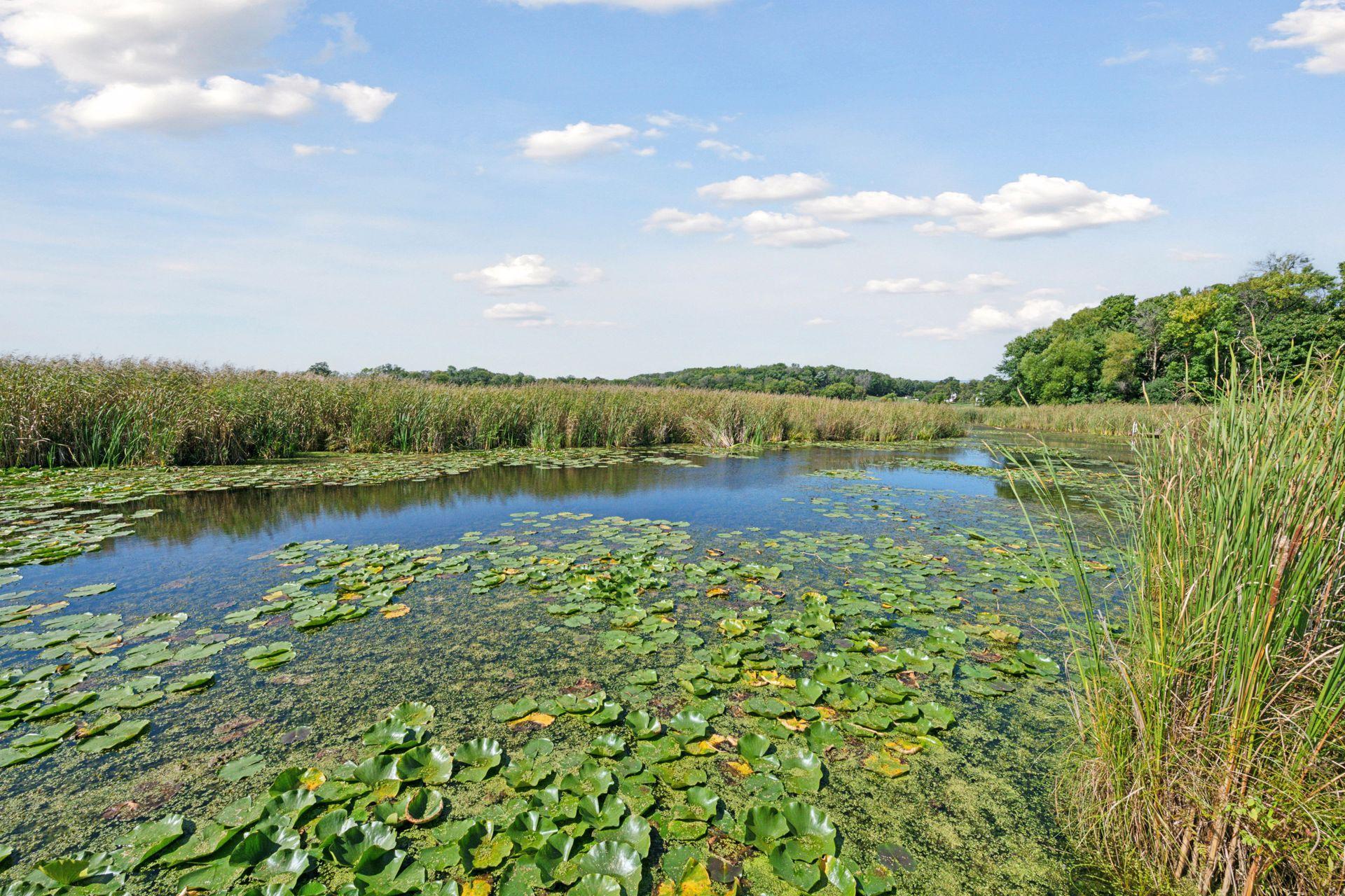 main property photo 57