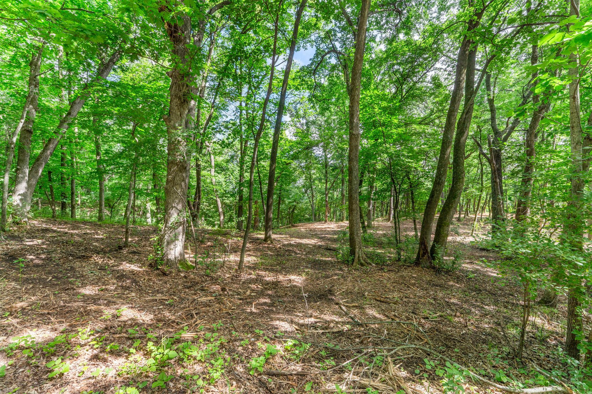 main property photo 10