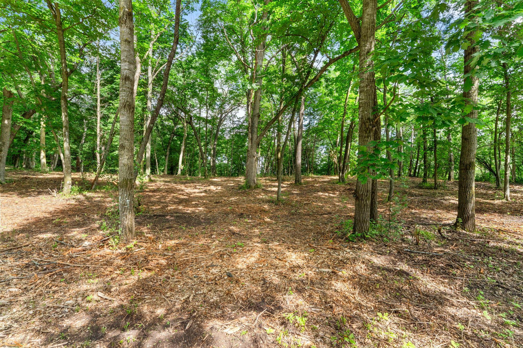 main property photo 12
