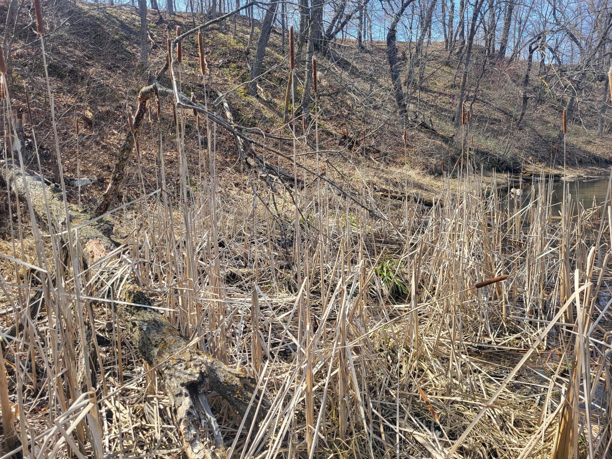 main property photo 16