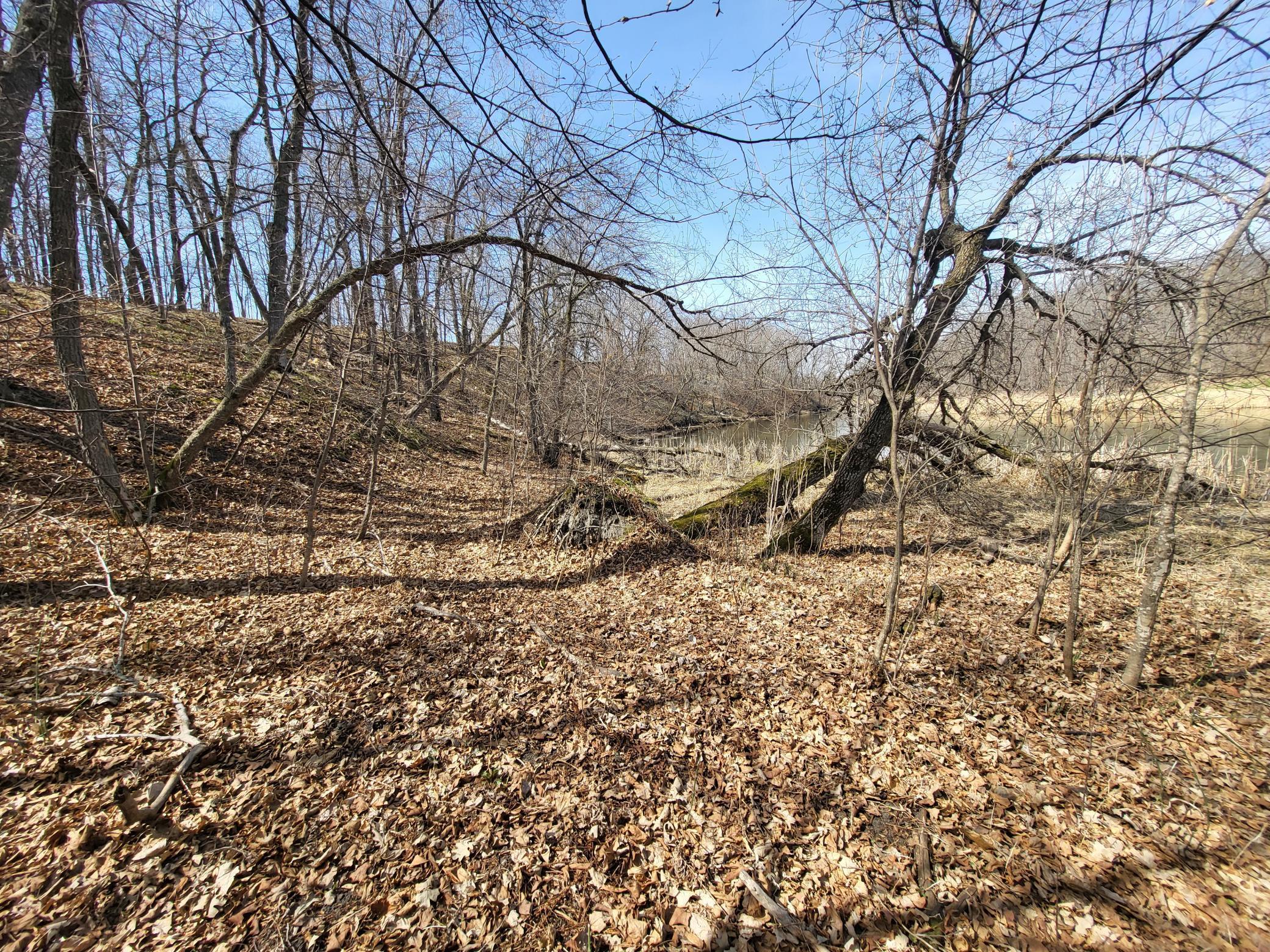 main property photo 18